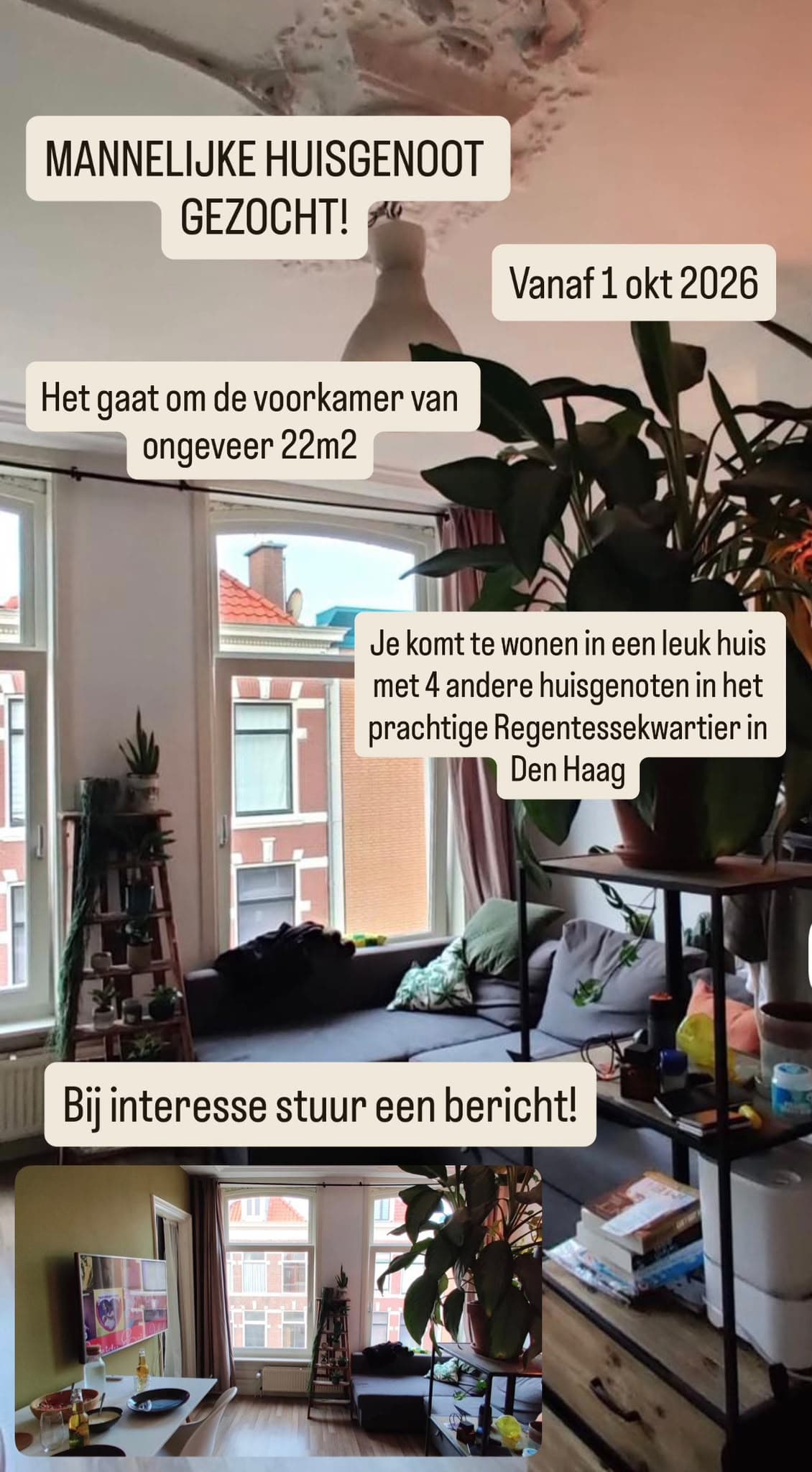 show all photos of Van Swietenstraat