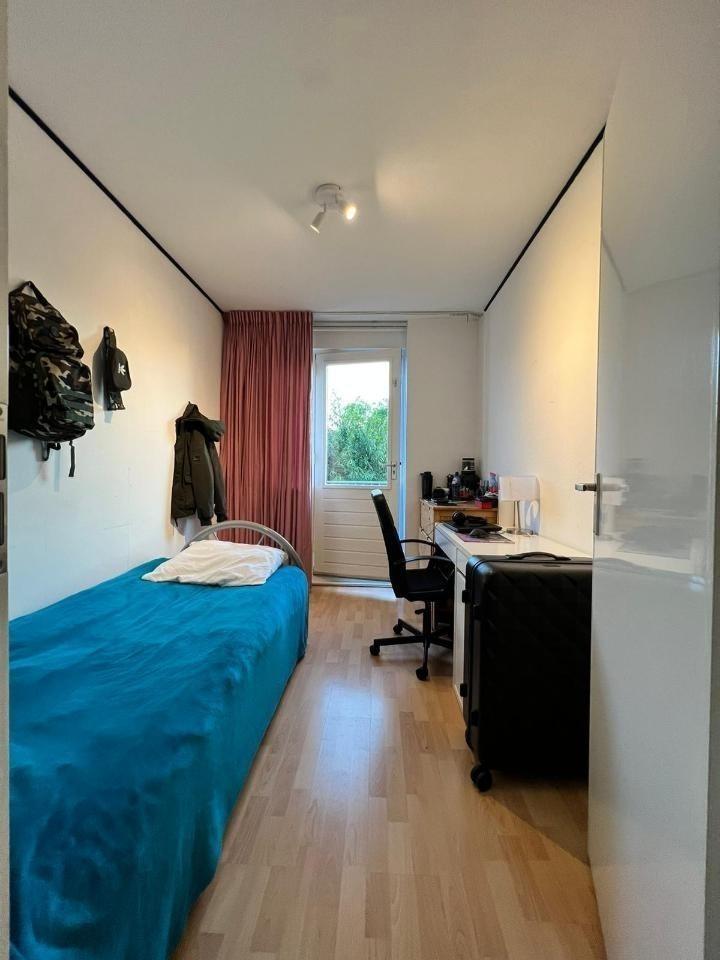 show all photos of Goudplevier