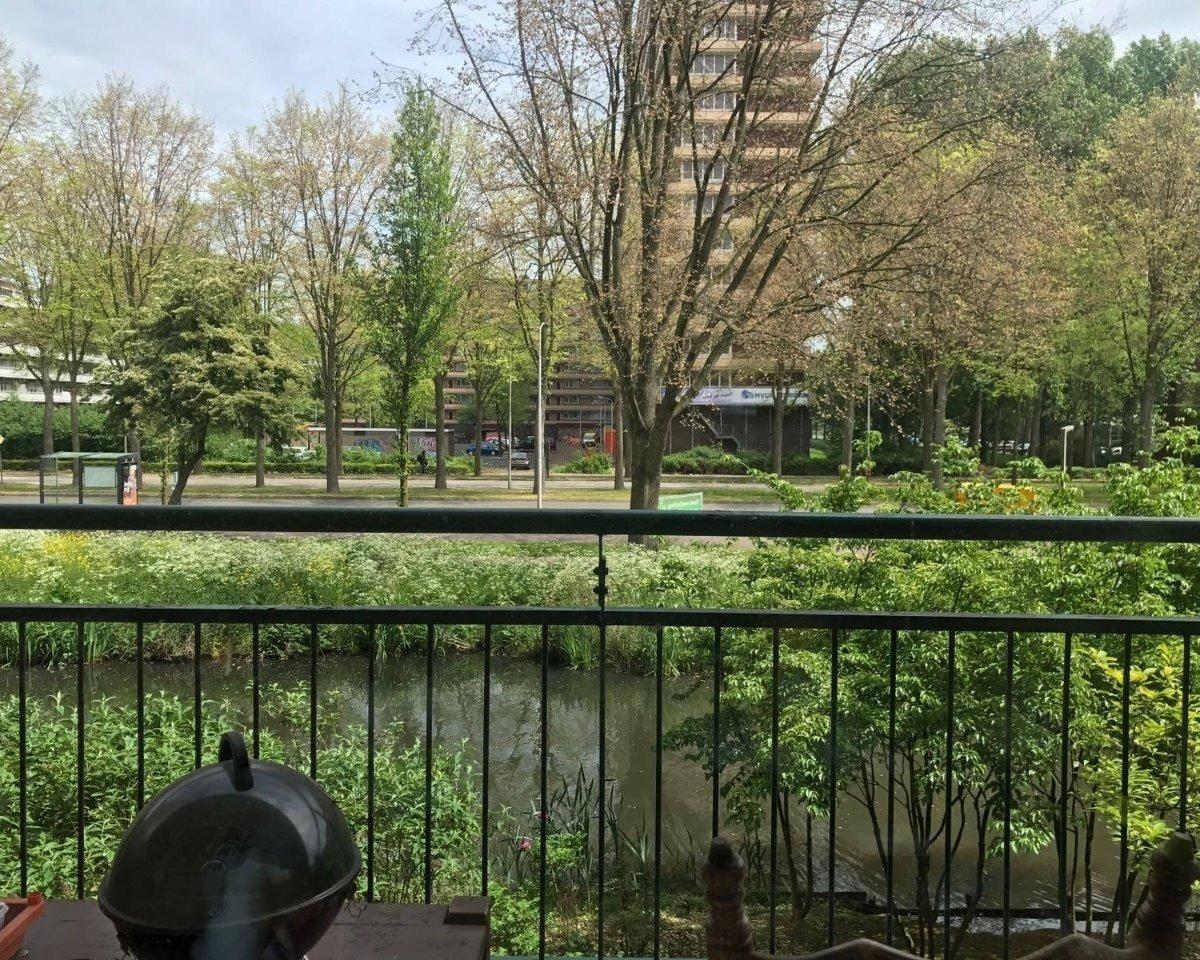 show all photos of Roland Holstlaan