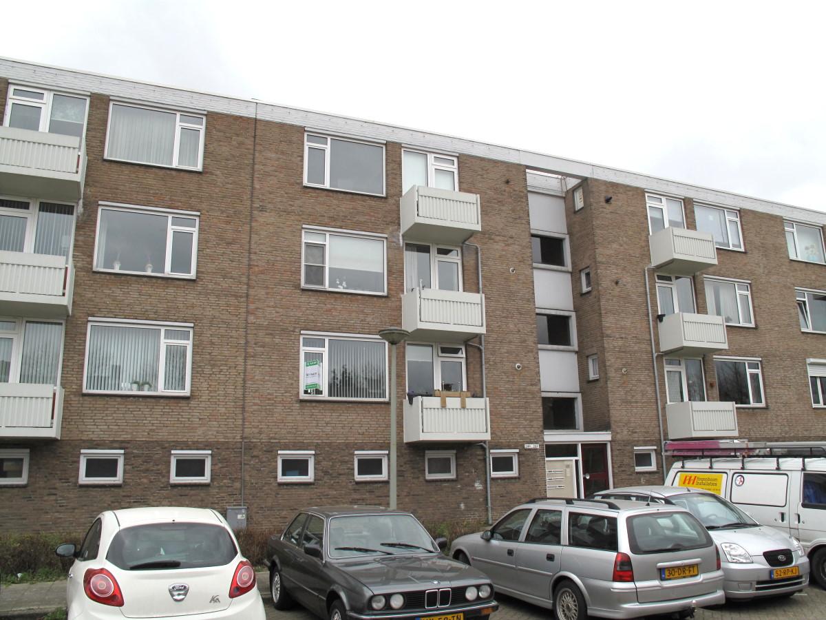 show all photos of Glazeniersdreef