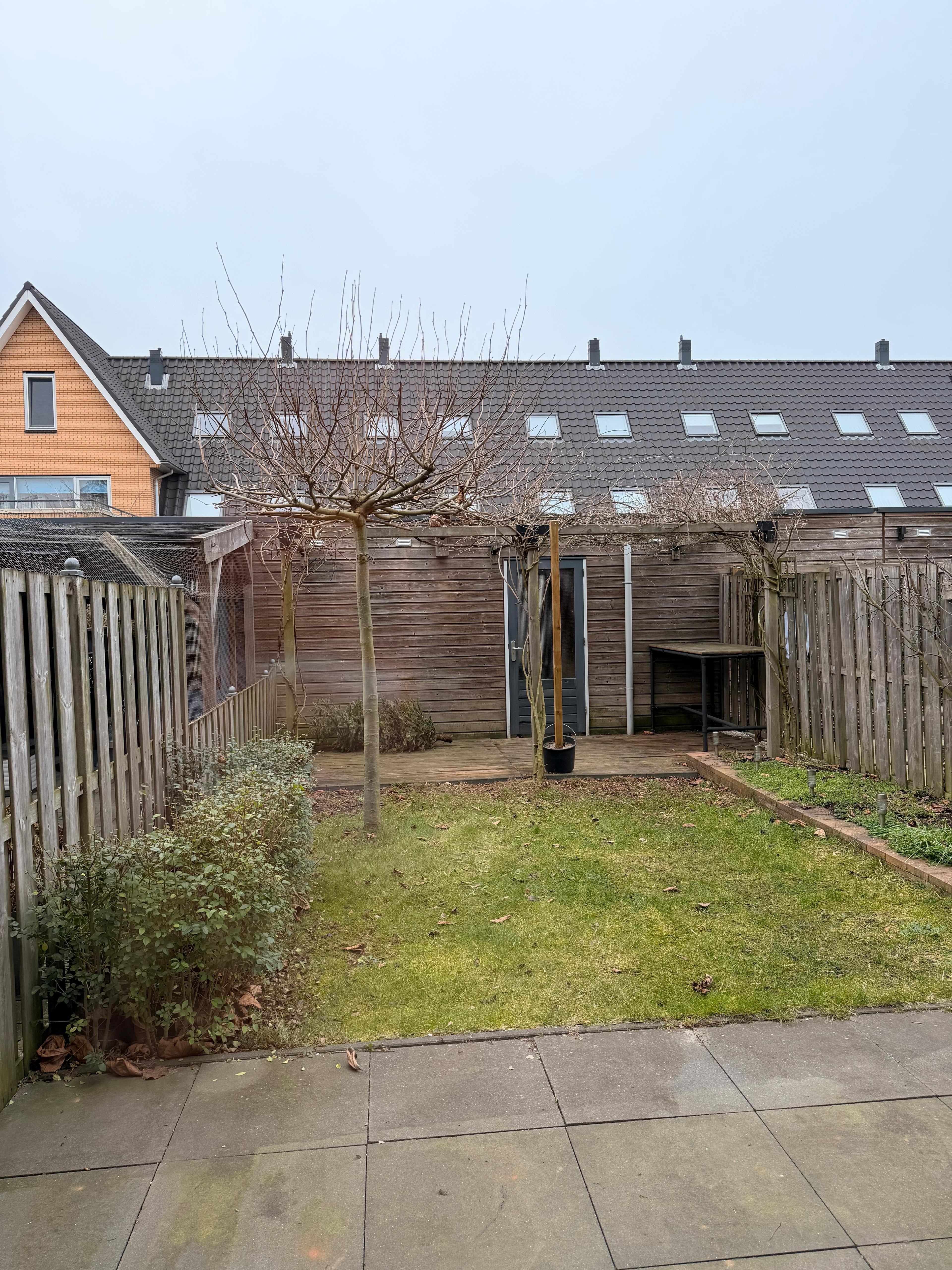 show all photos of Sikkelwei