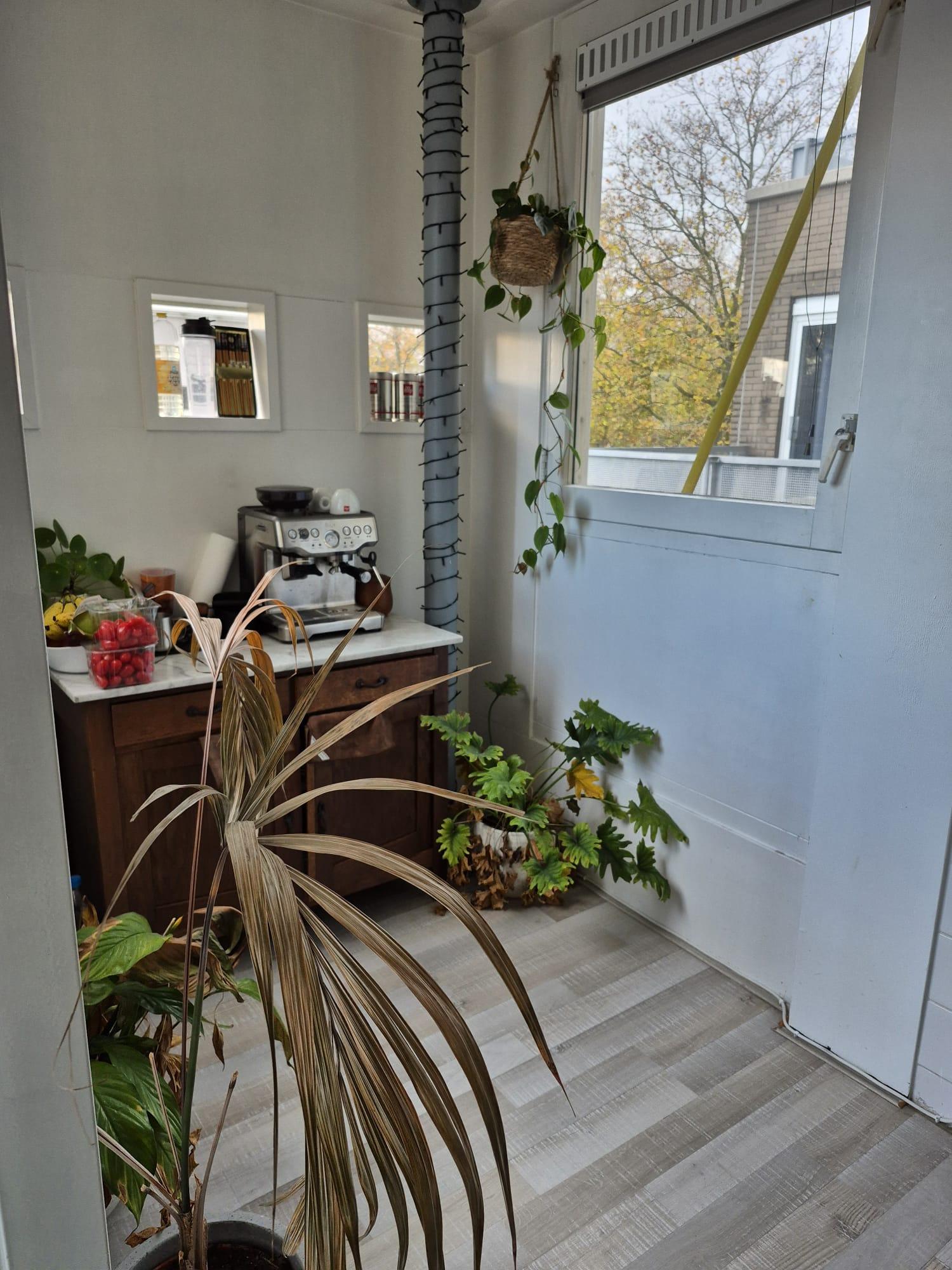 show all photos of Alexanderkade