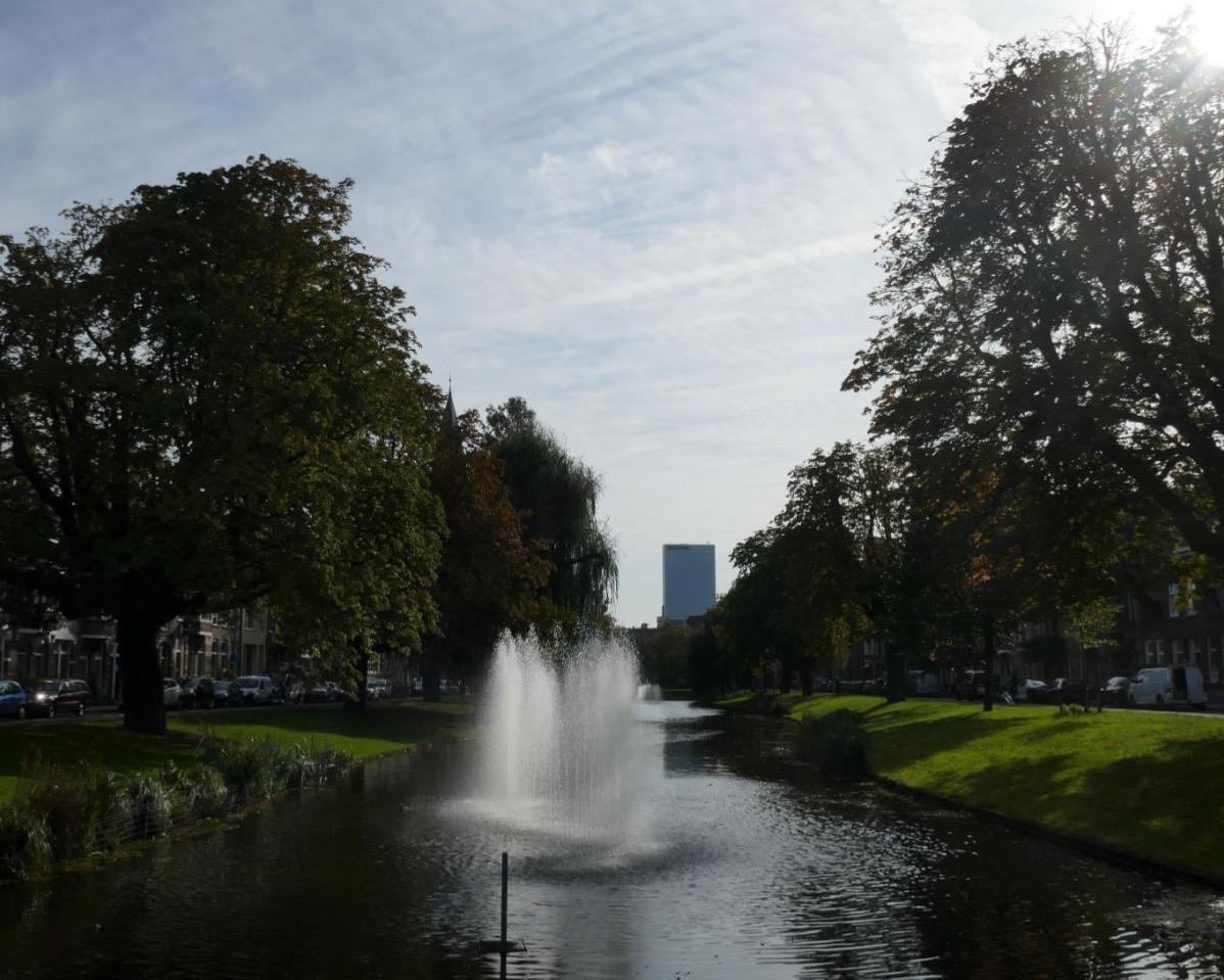 show all photos of Bergsingel