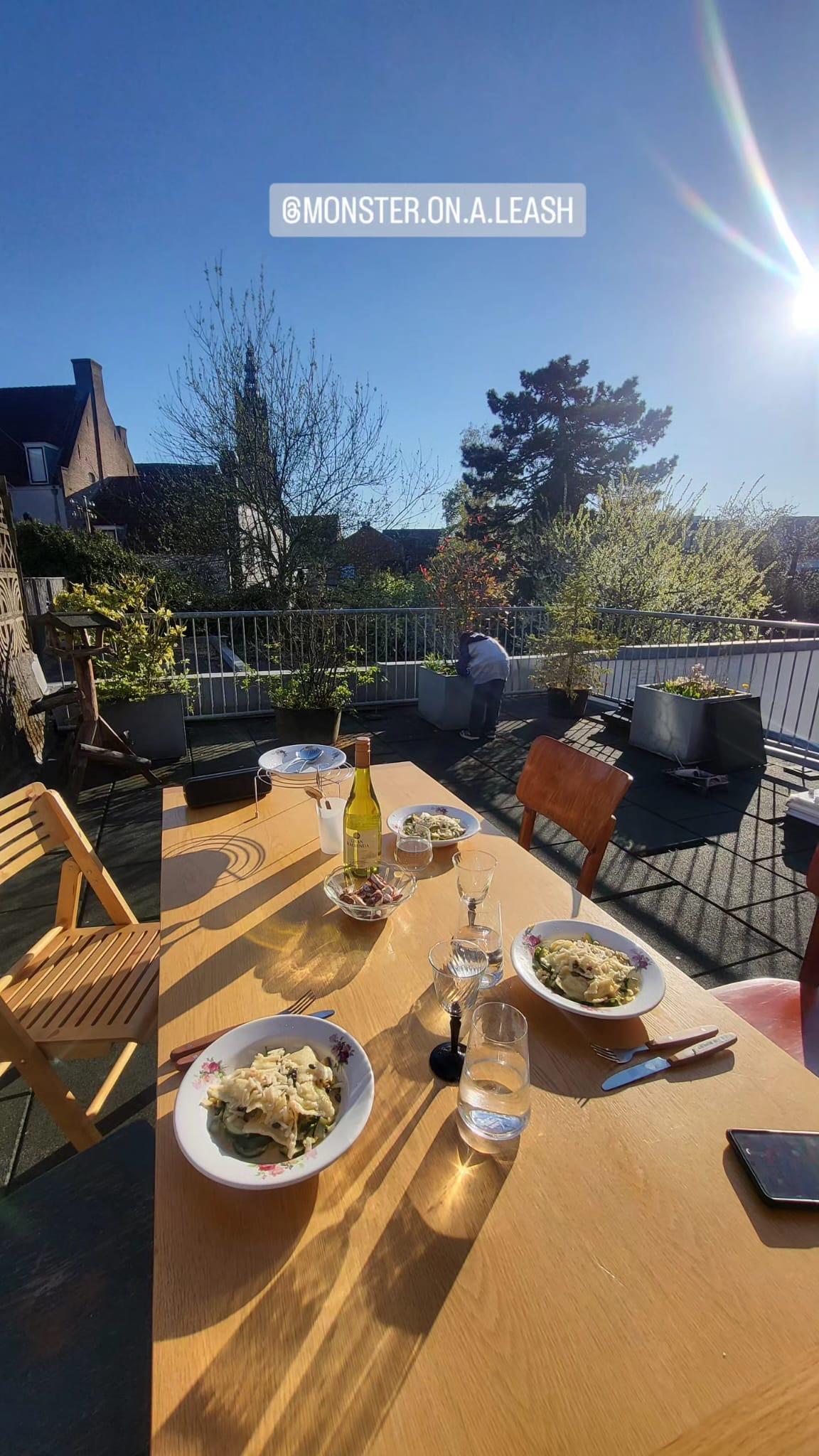 show all photos of Havik