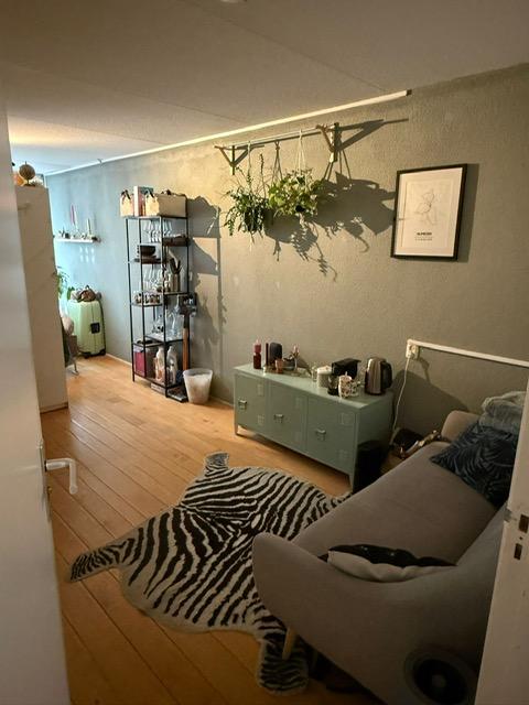 show all photos of Herman Oolbekkinkstraat