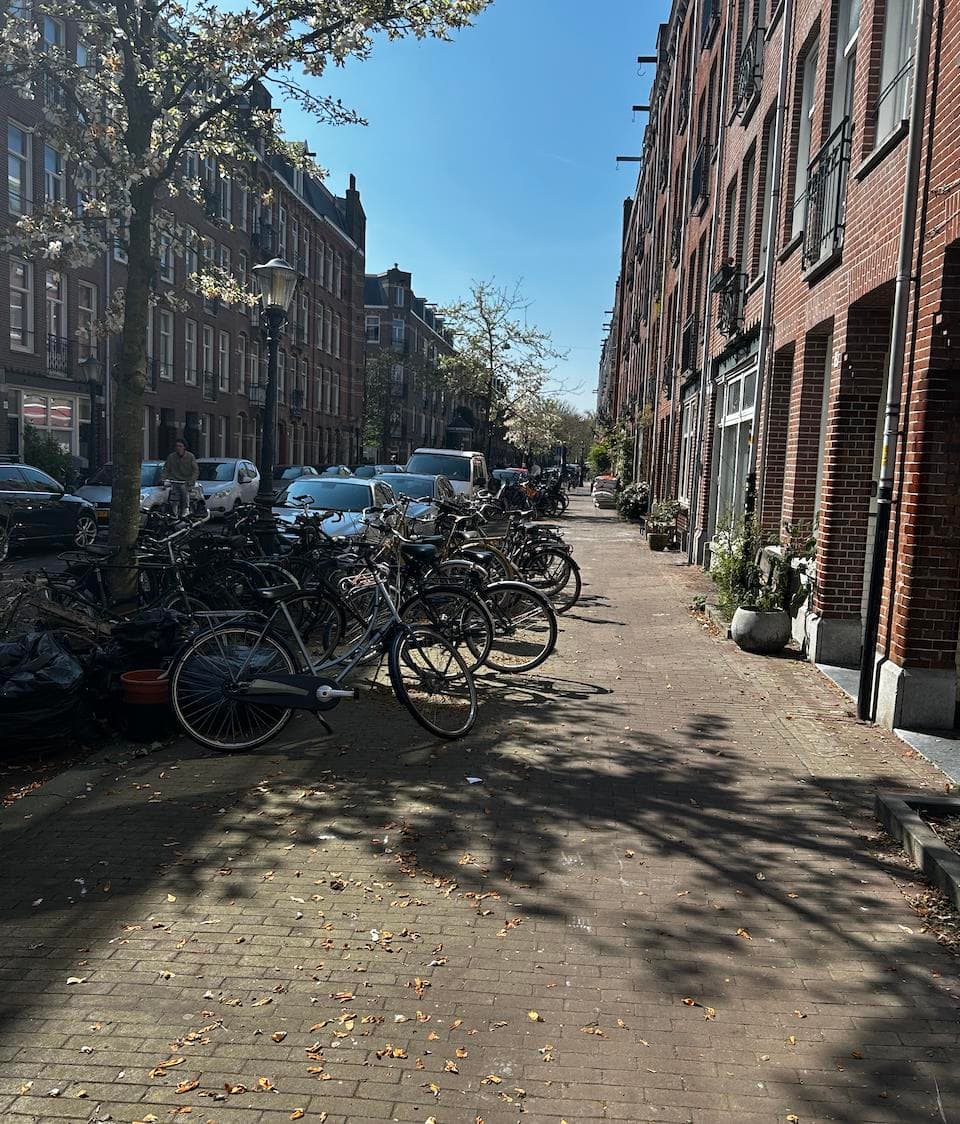 show all photos of Groen van Prinstererstraat