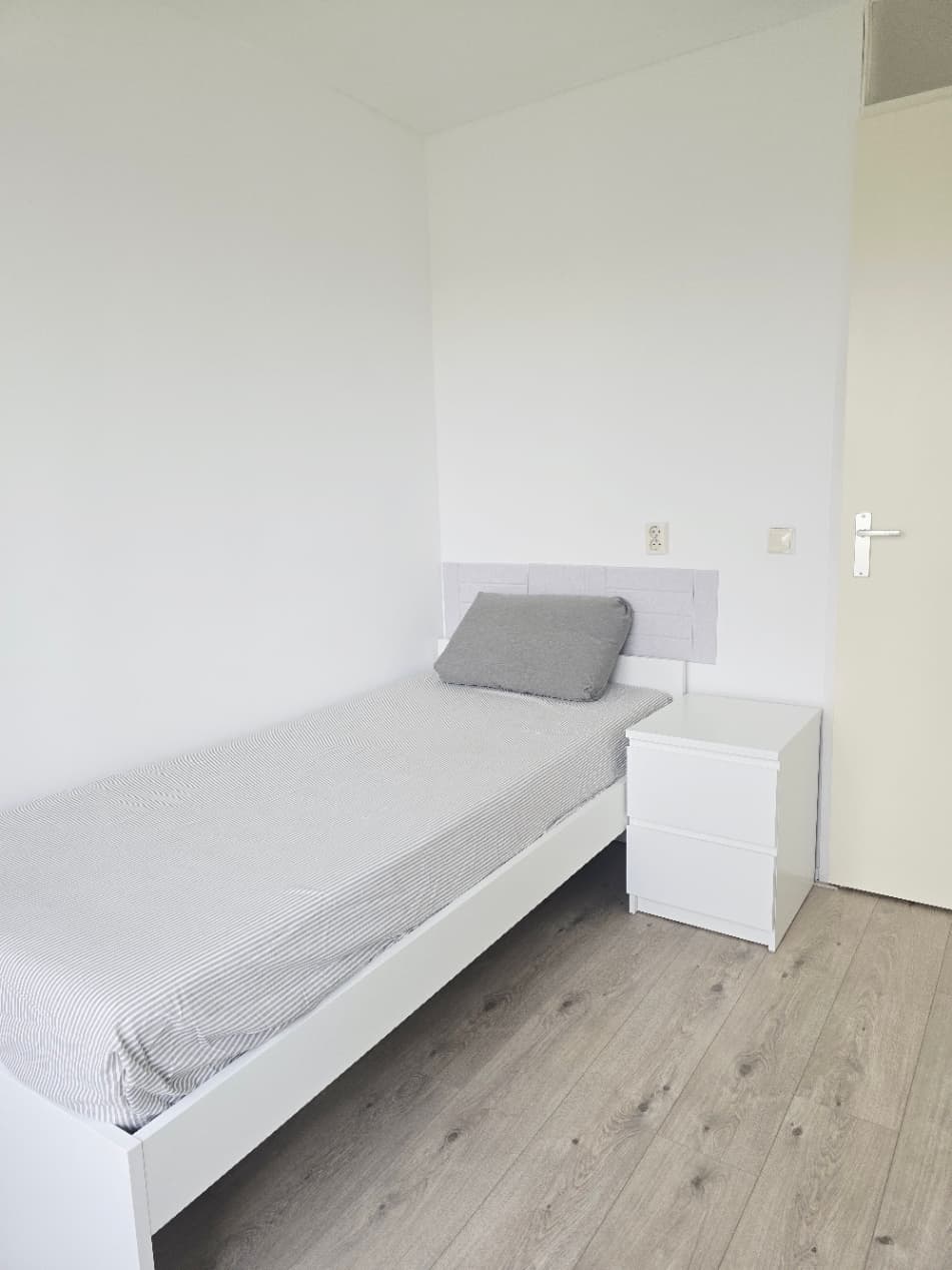 show all photos of EGoli