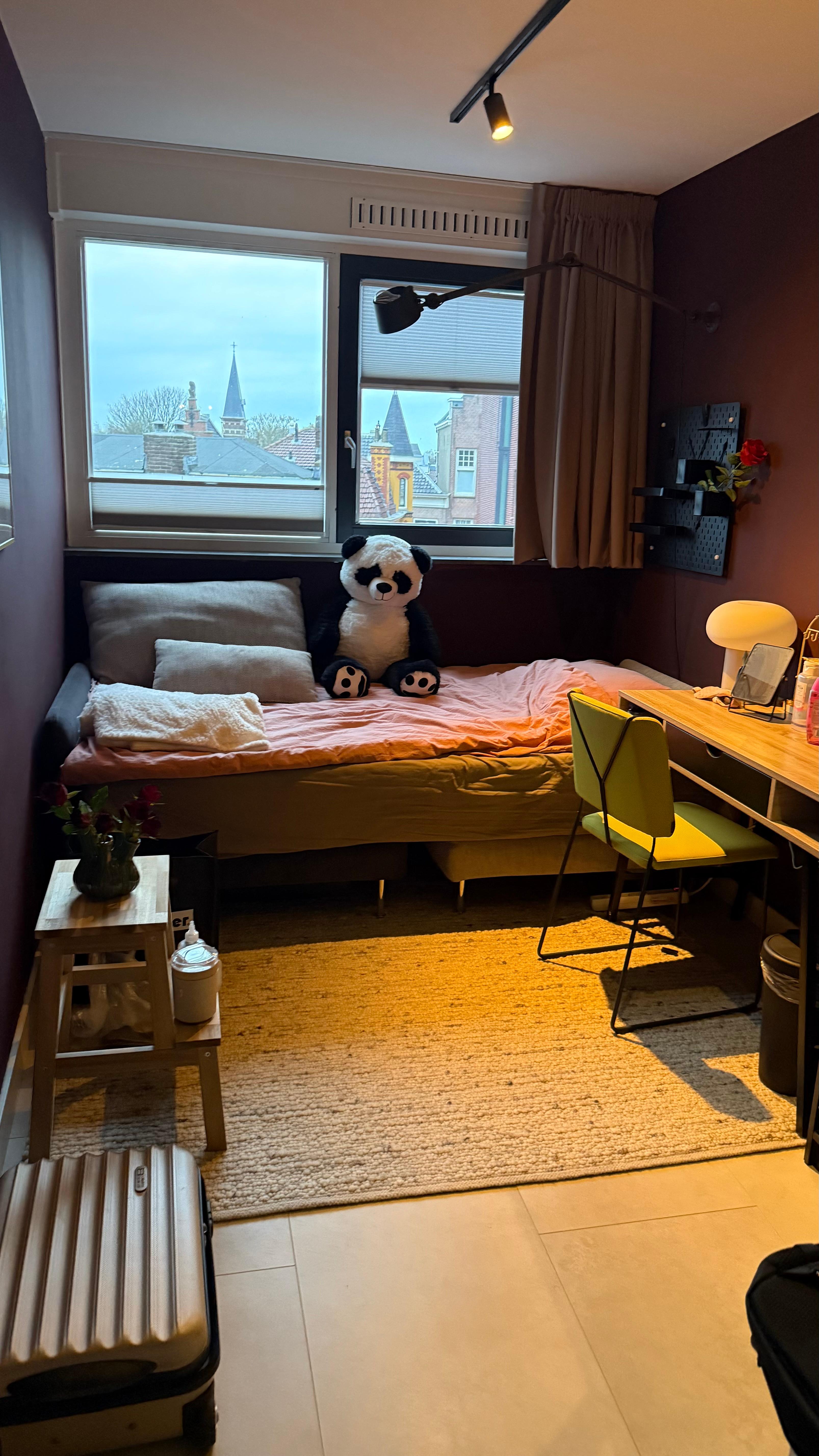 show all photos of Korte Zijlstraat