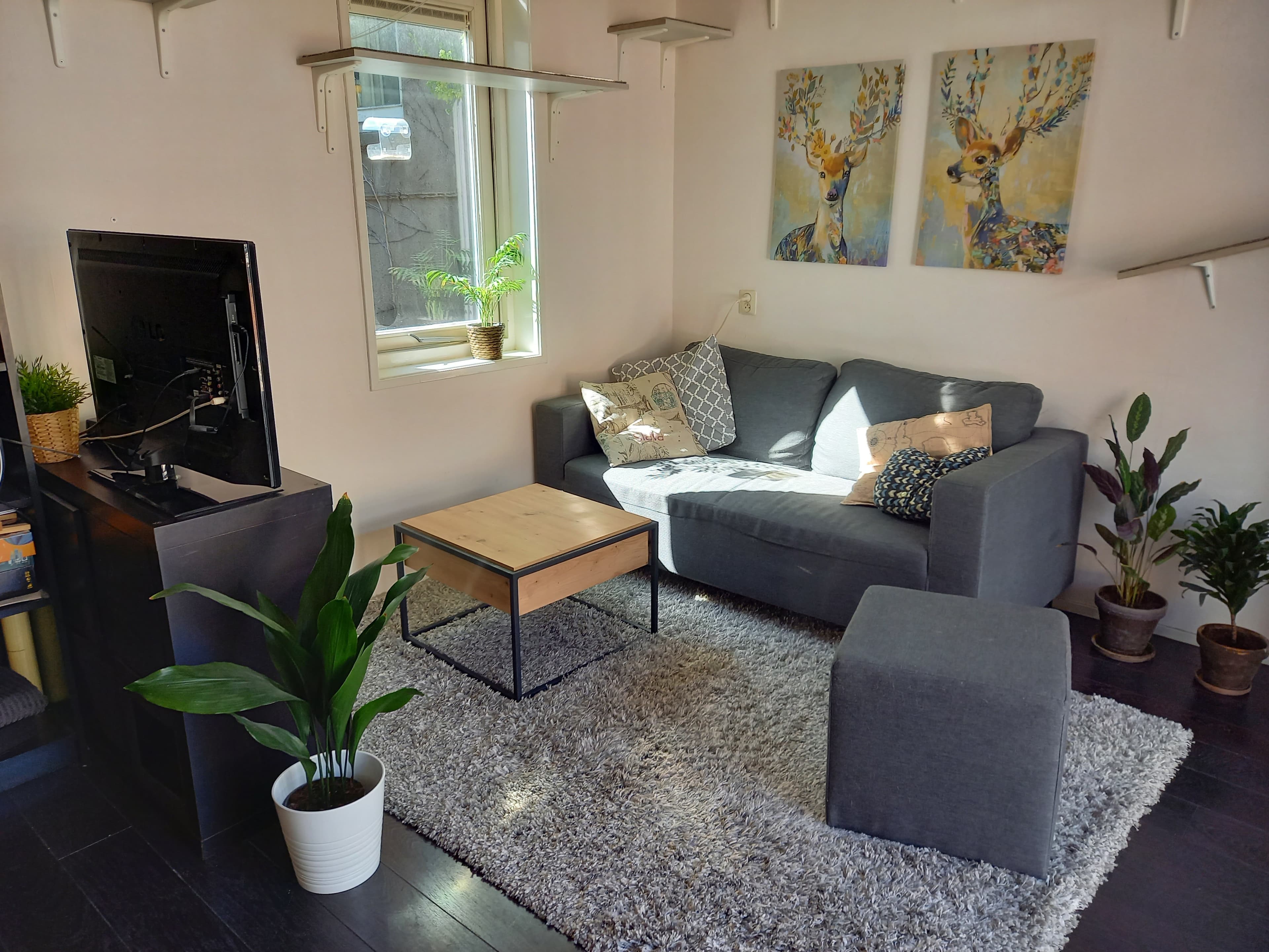 show all photos of Pieterstraat