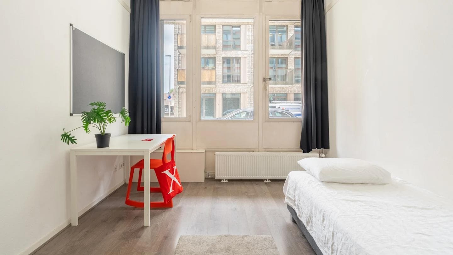 show all photos of Willem Dreeslaan