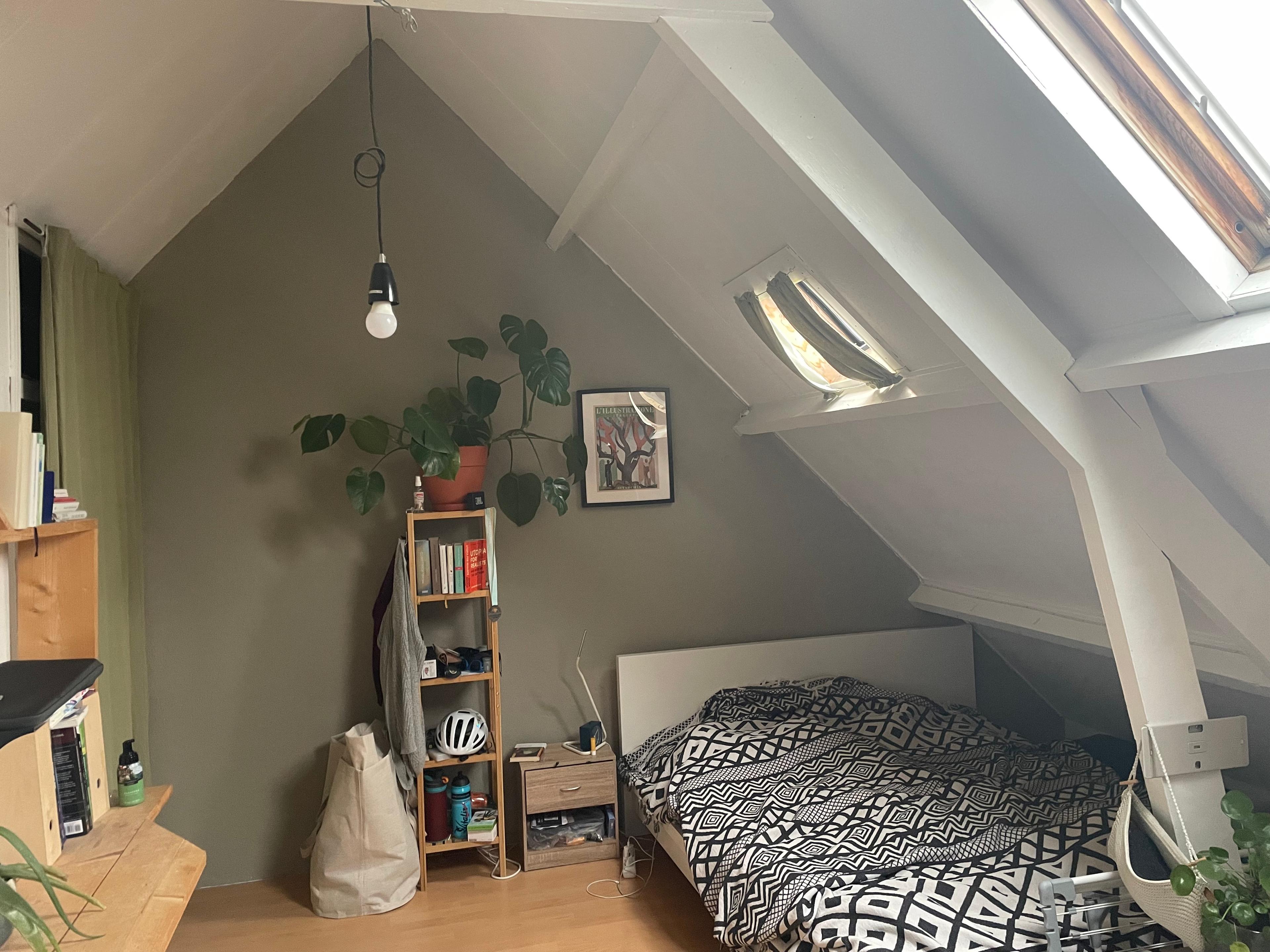 show all photos of Lipperkerkstraat