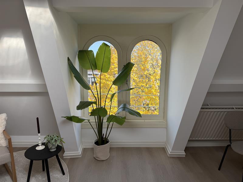 show all photos of Burgemeester Reigerstraat