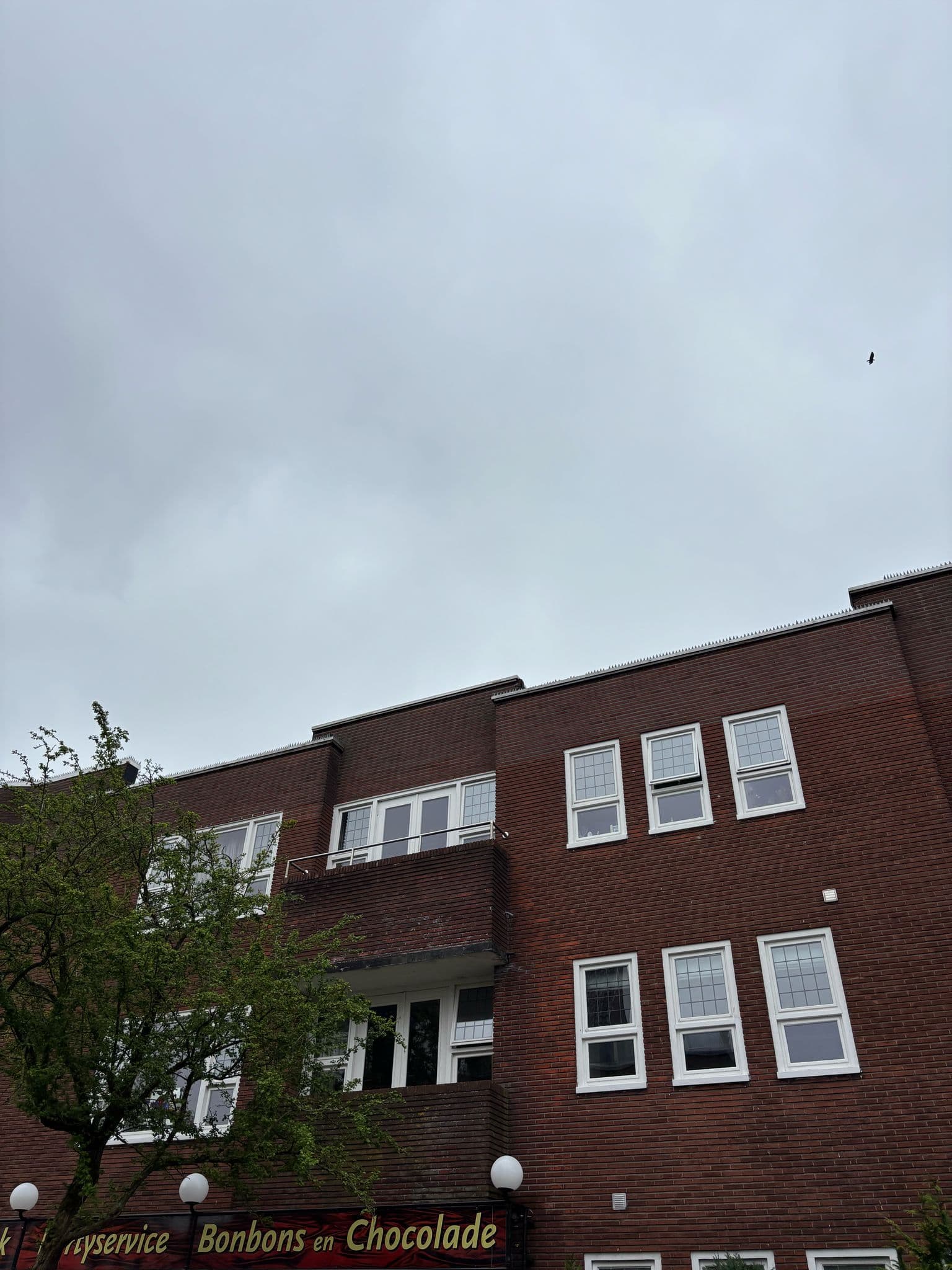 show all photos of Van Royenlaan