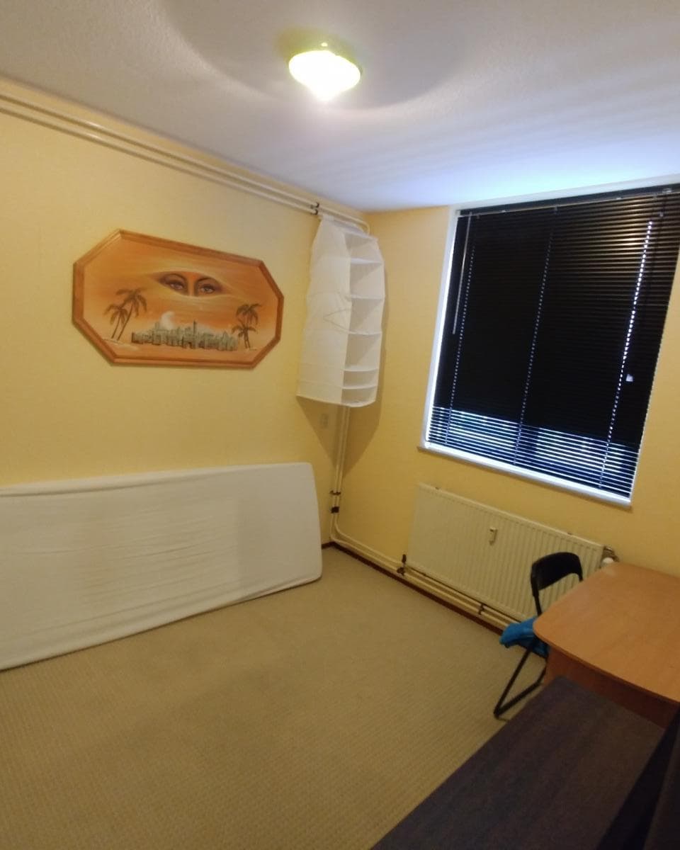 show all photos of Korfoedreef