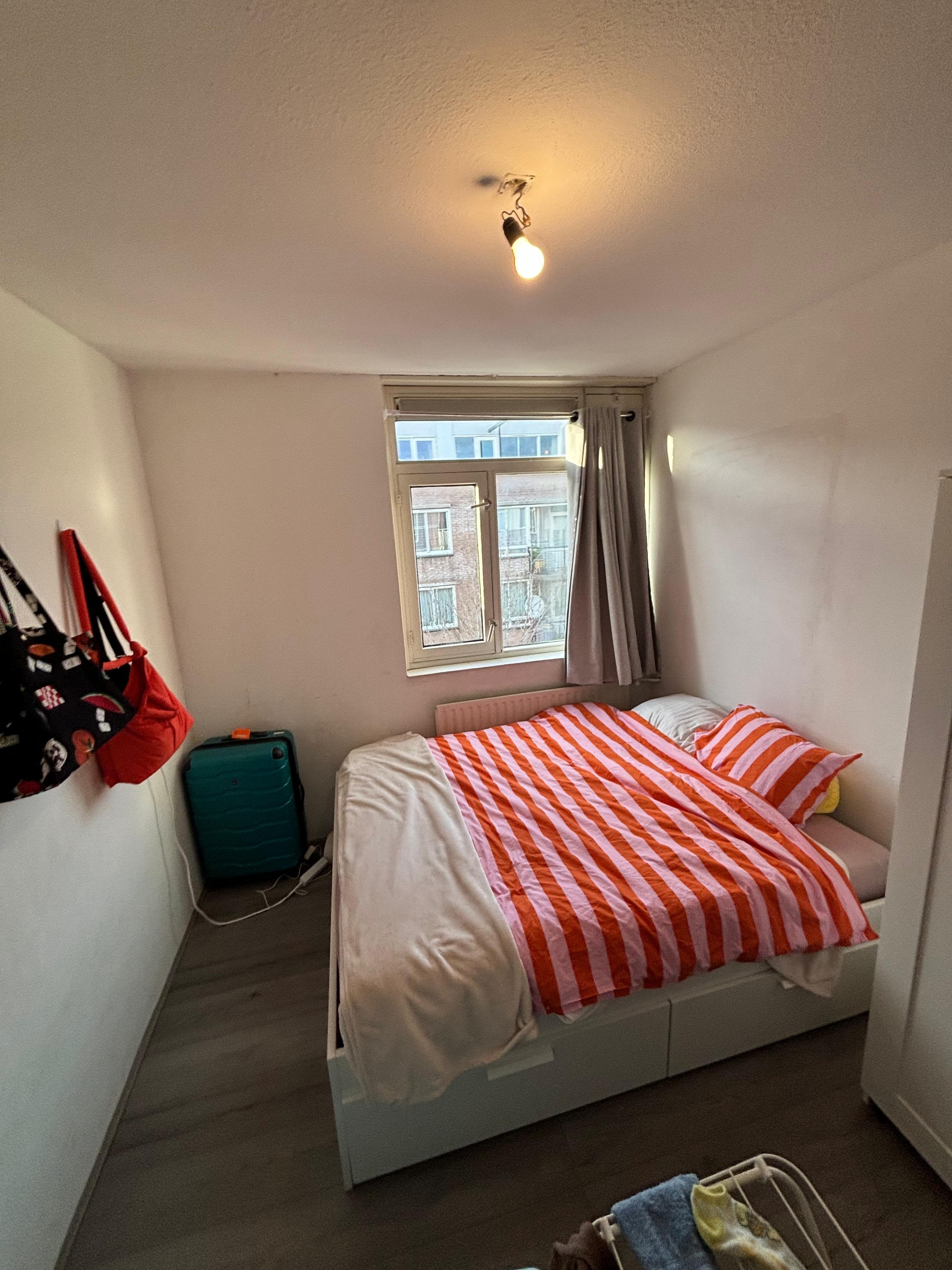 show all photos of Riouwstraat