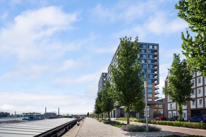 show all photos of Maashaven N.z.