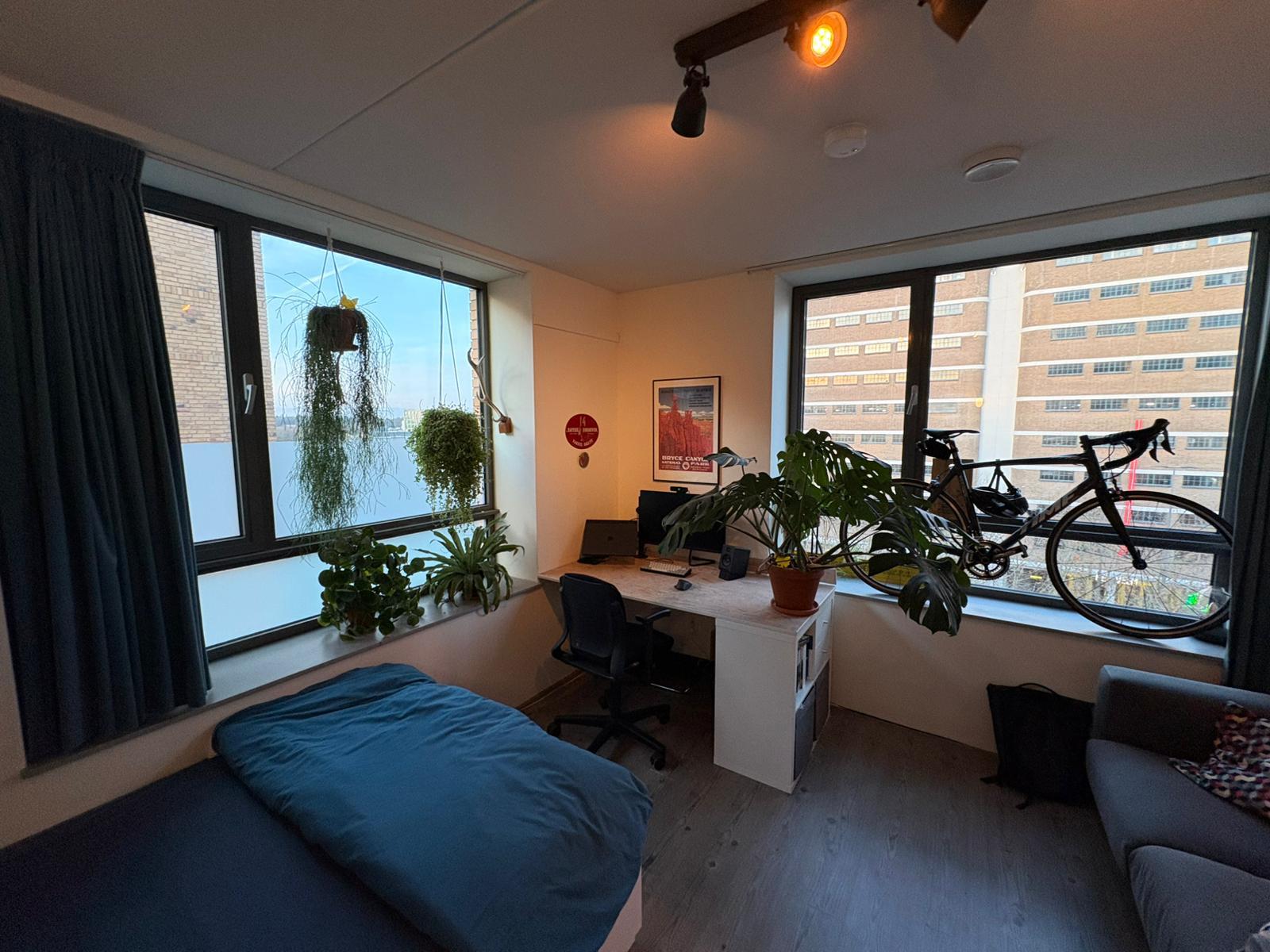 show all photos of Torenallee