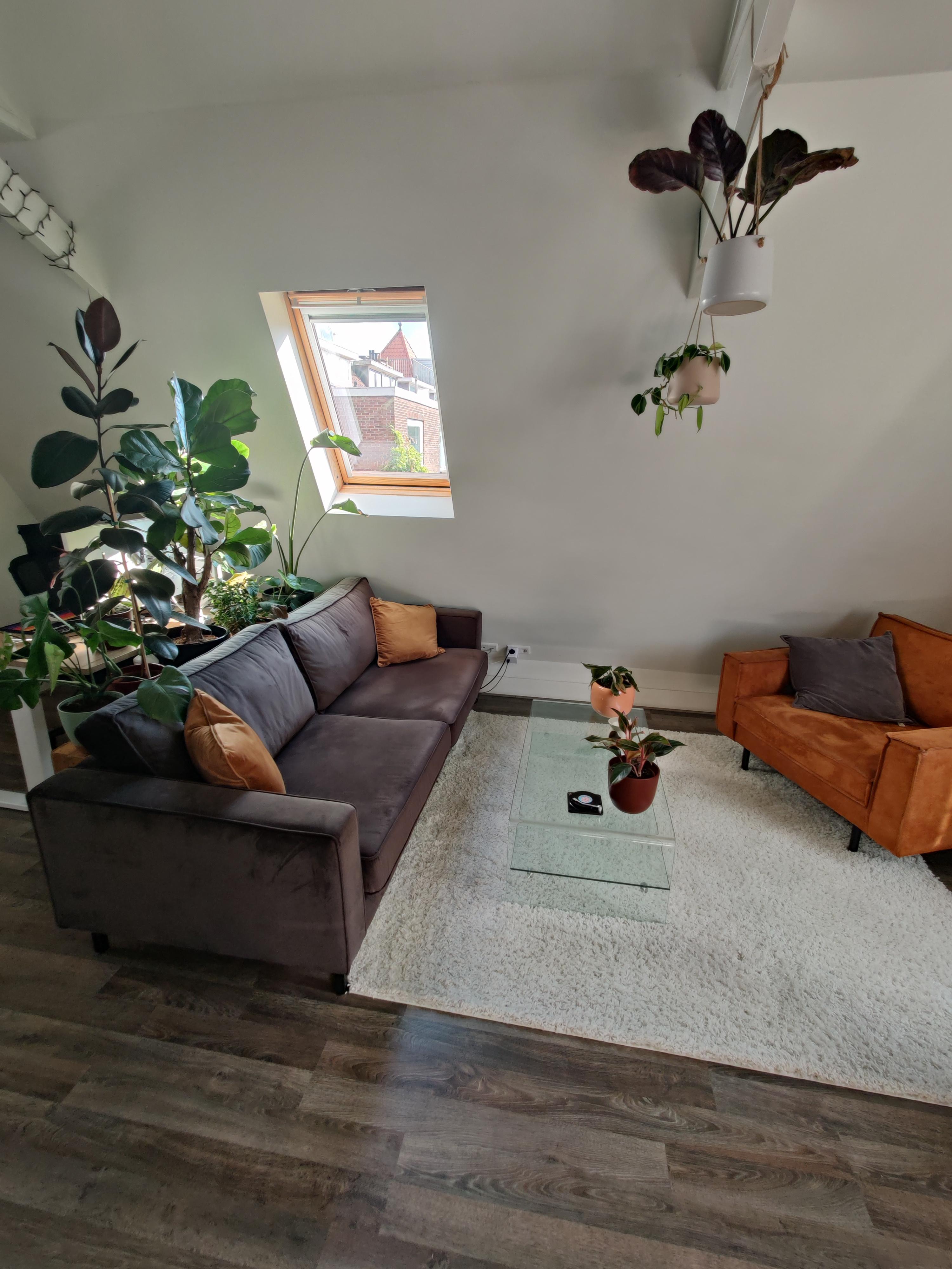 show all photos of Albatrosstraat