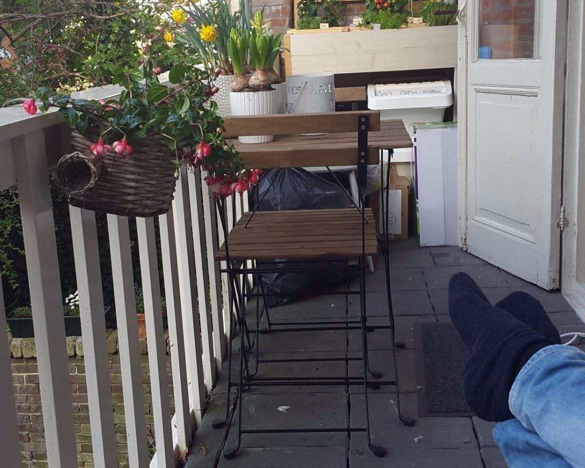 show all photos of Adelaarstraat