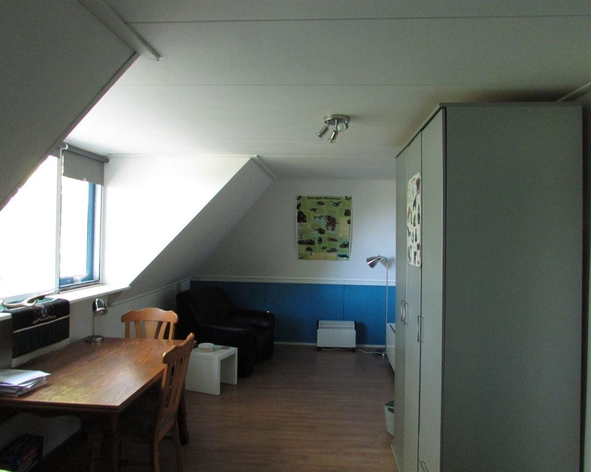 show all photos of Funs