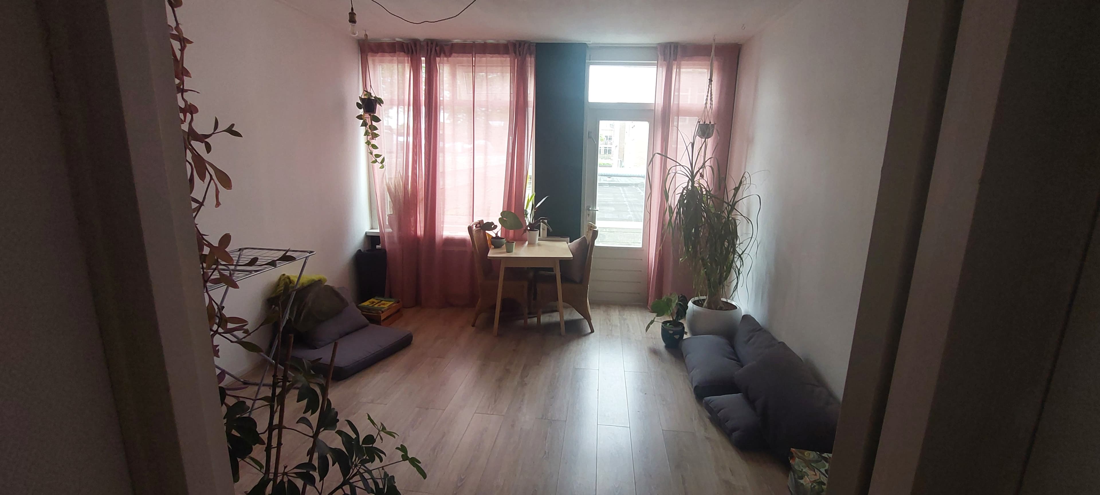 show all photos of Paardenmarkt
