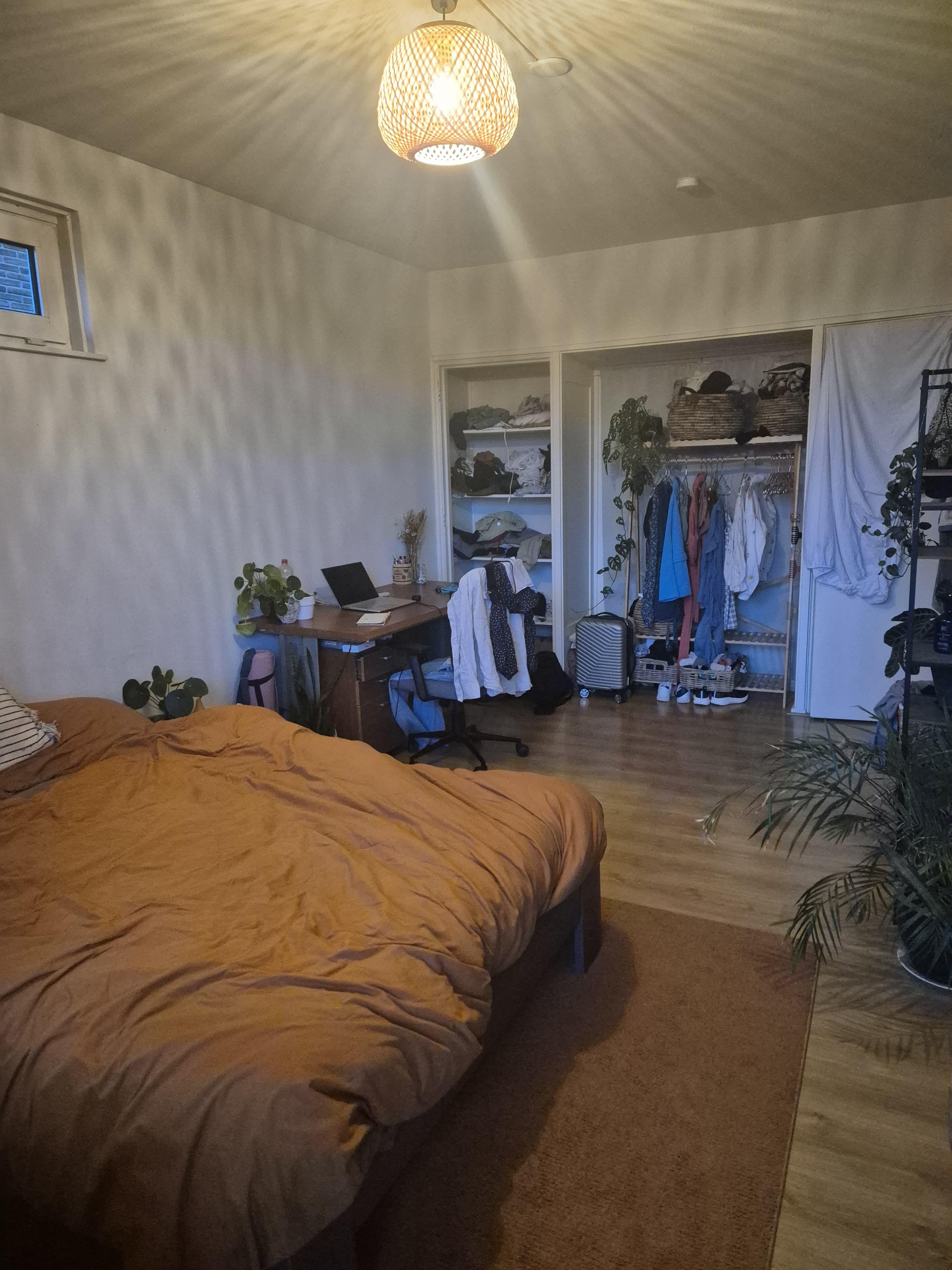 show all photos of Asingastraat