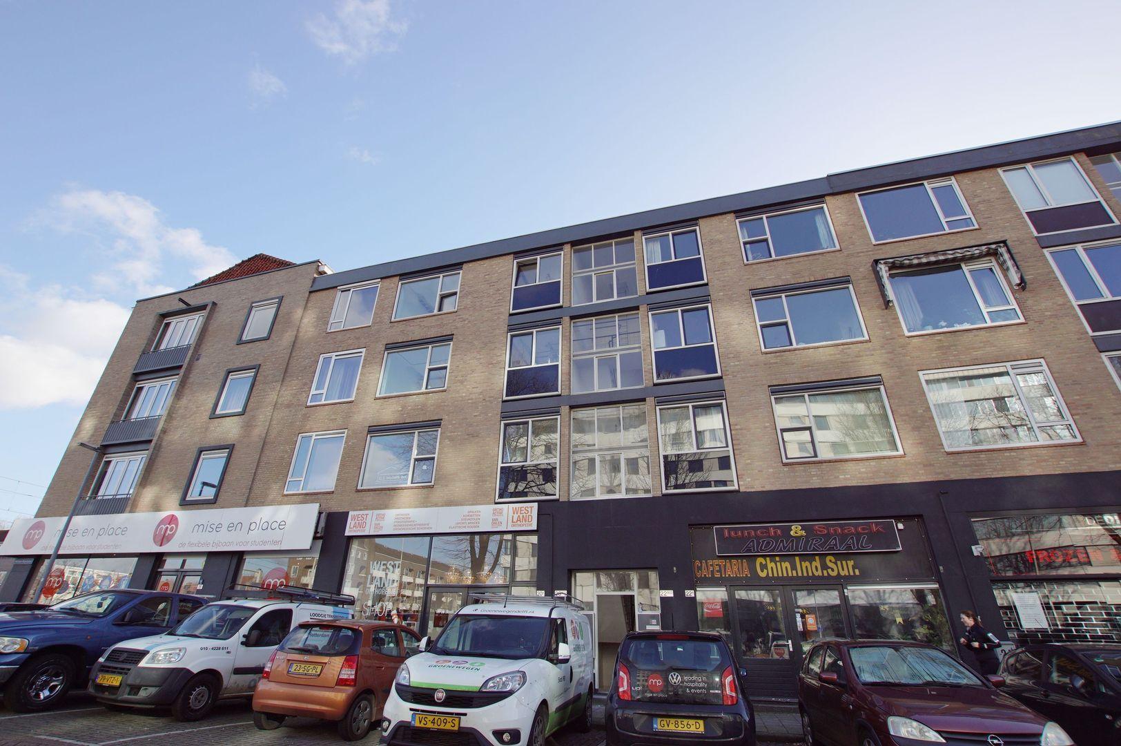 show all photos of Willem Ruyslaan