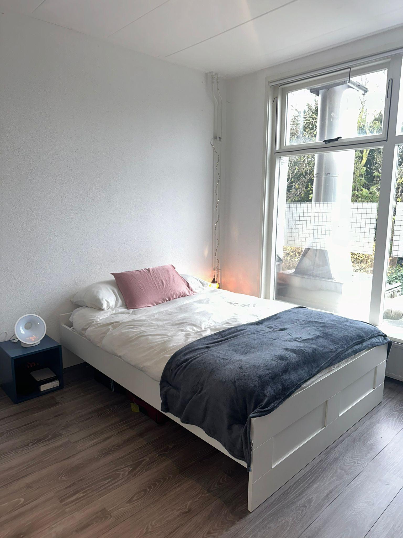 show all photos of Hoge Rijndijk