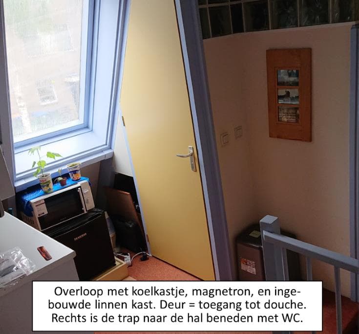 show all photos of Madeliefje