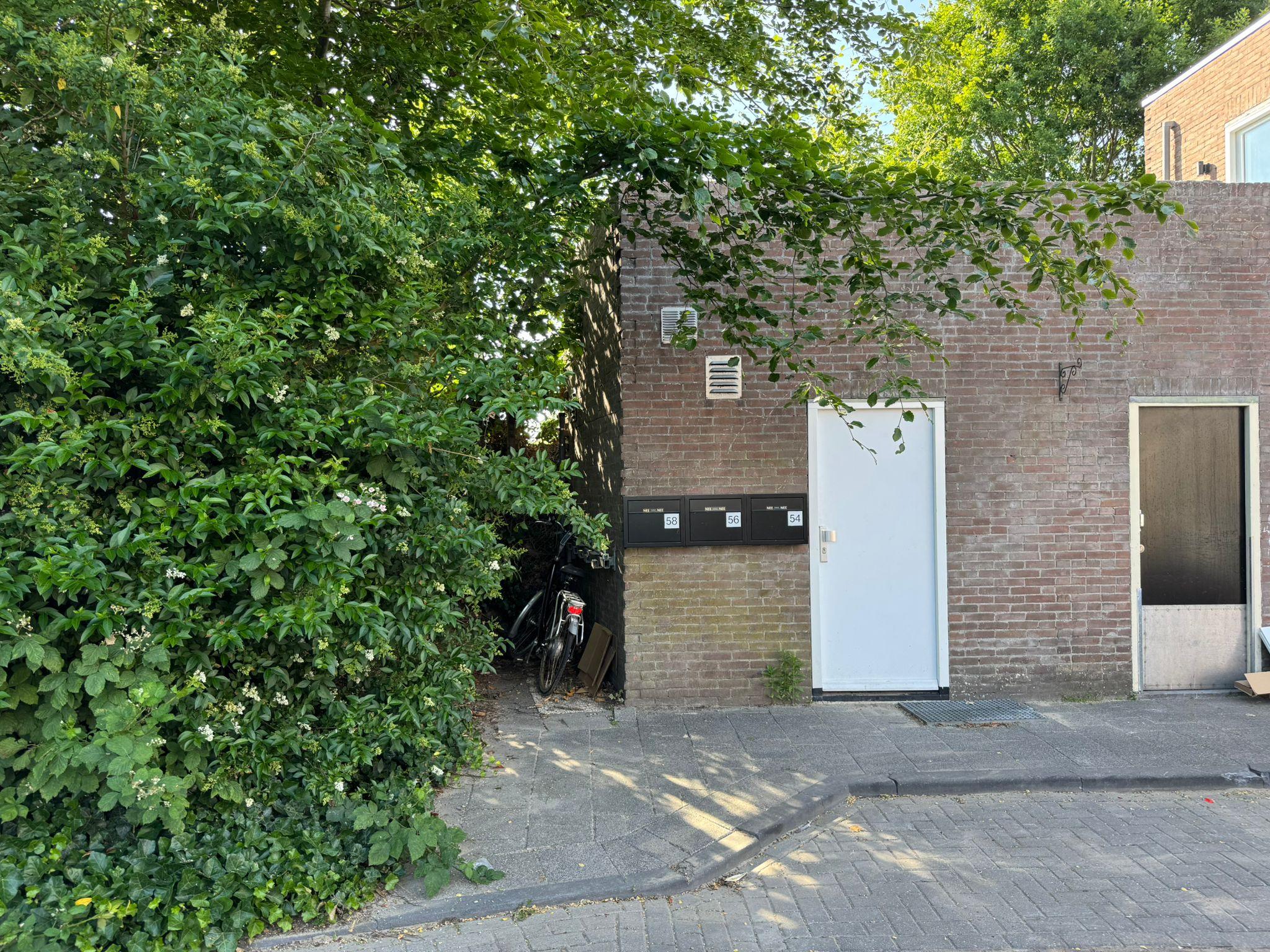 show all photos of Van der Kaaijstraat