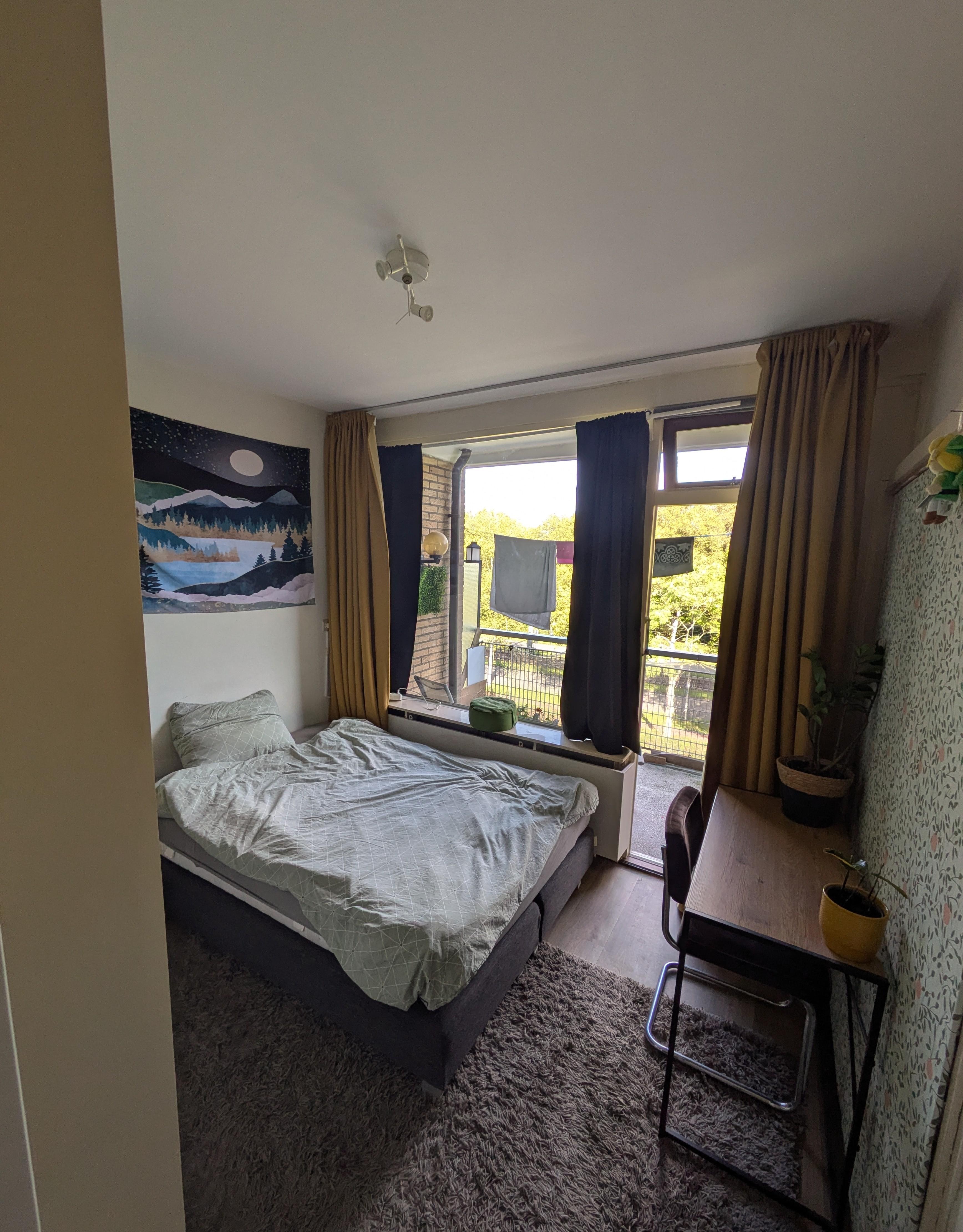 show all photos of Livingstonelaan