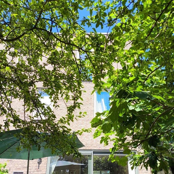 show all photos of Veldruskade