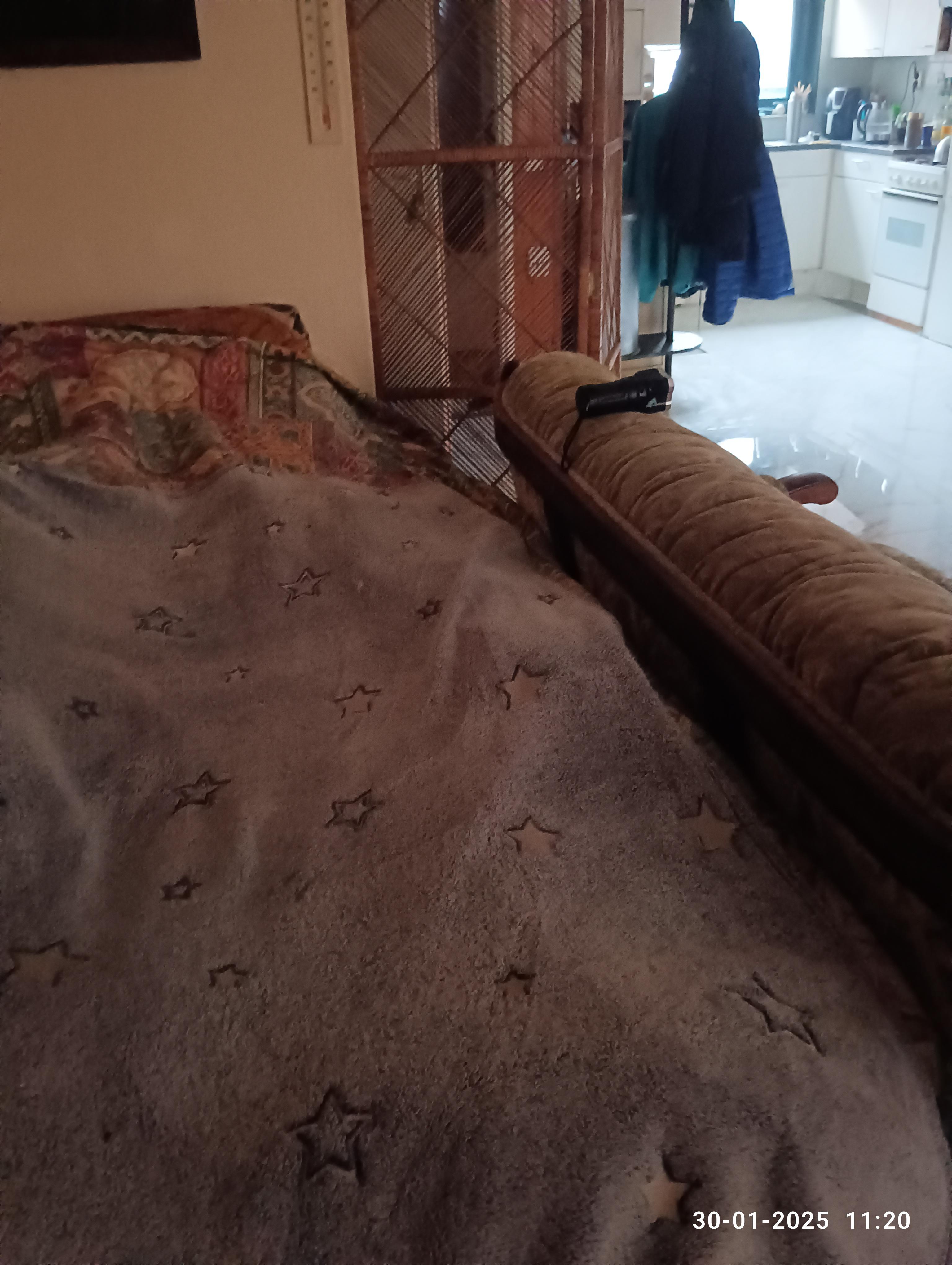 show all photos of Fie Carelsenstraat