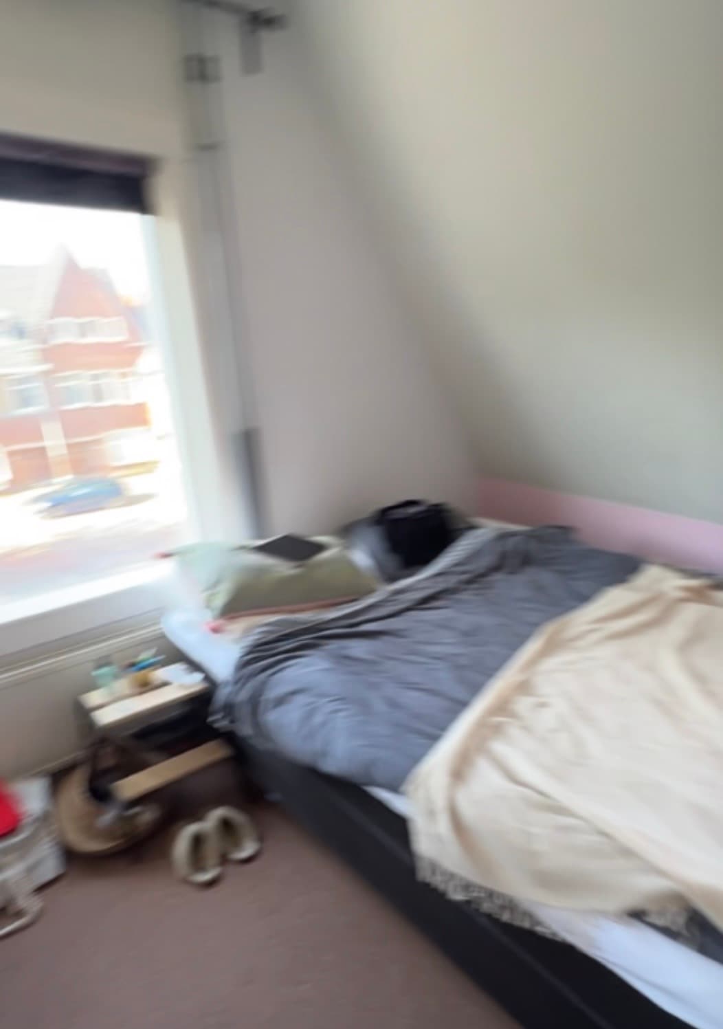 show all photos of Van Hallstraat