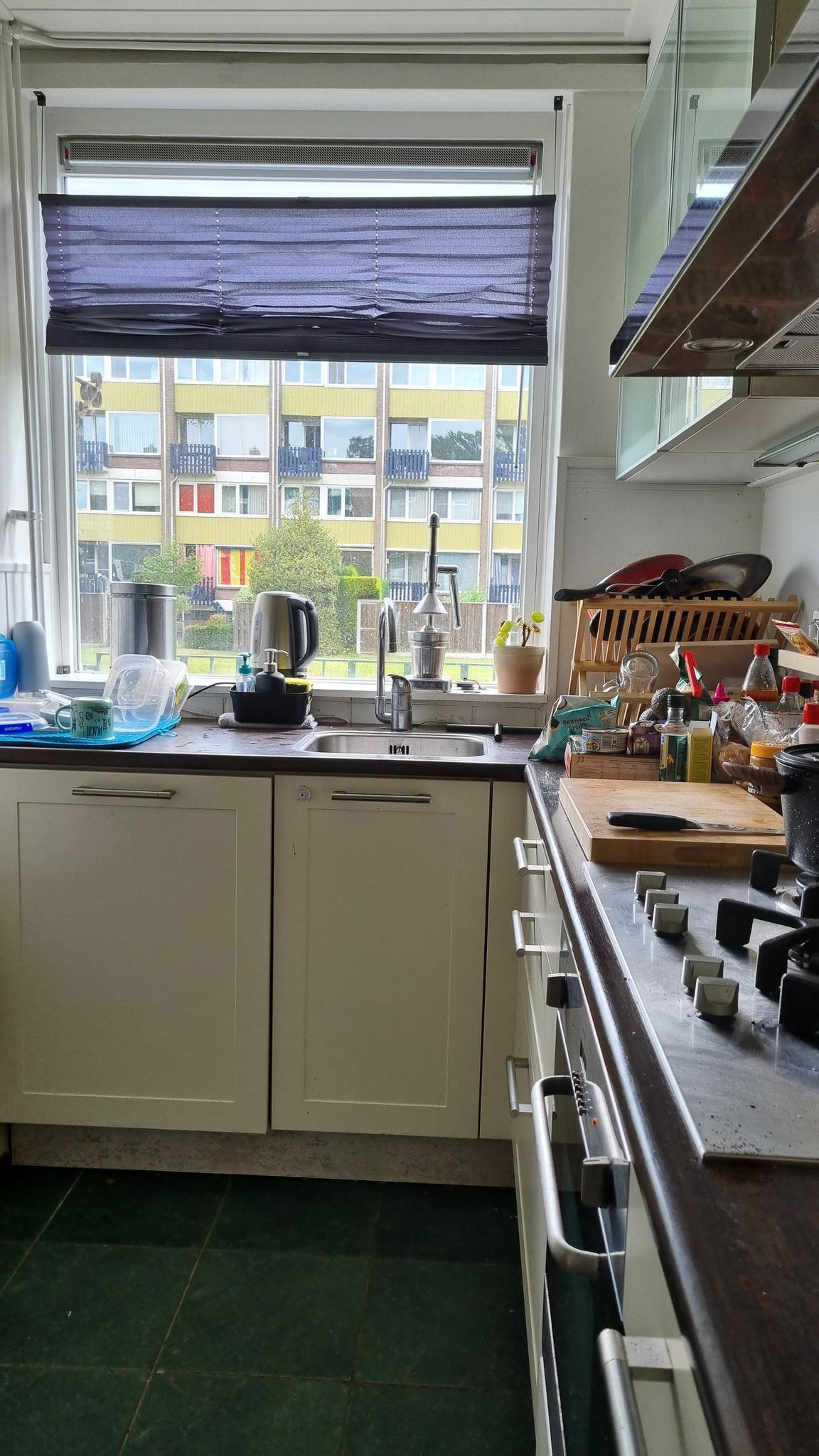 show all photos of Roelof van Schevenstraat