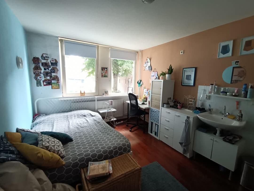 show all photos of Bergstraat