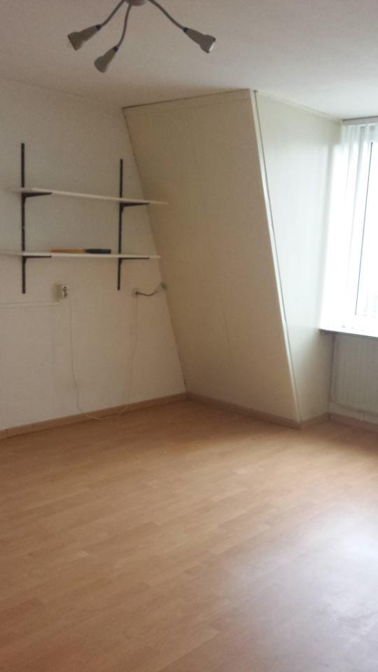 show all photos of Eimerick