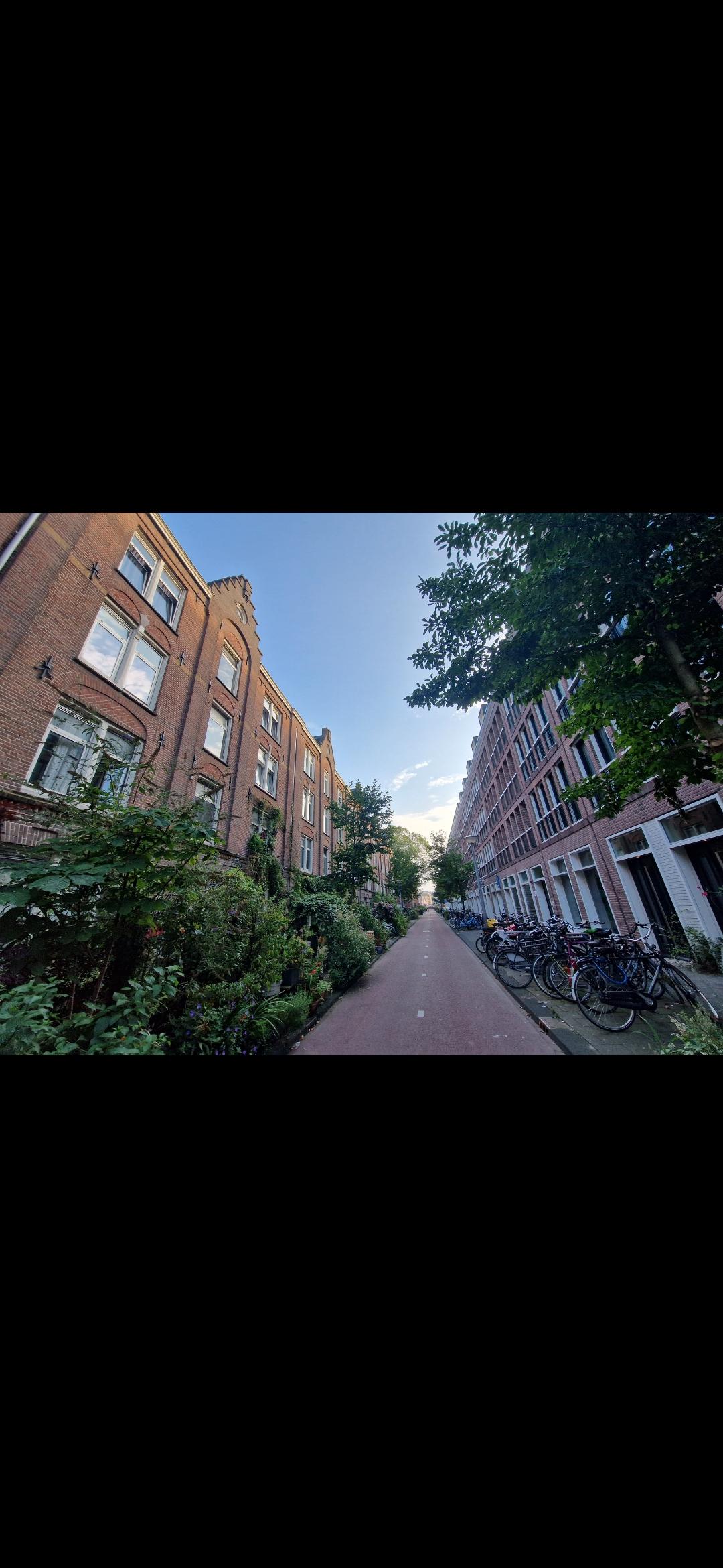 show all photos of Czaar Peterstraat