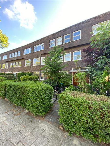 show all photos of Petrus Campersingel