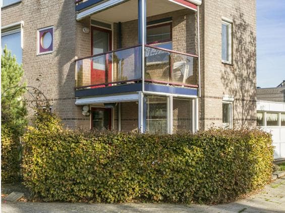 show all photos of Lunet