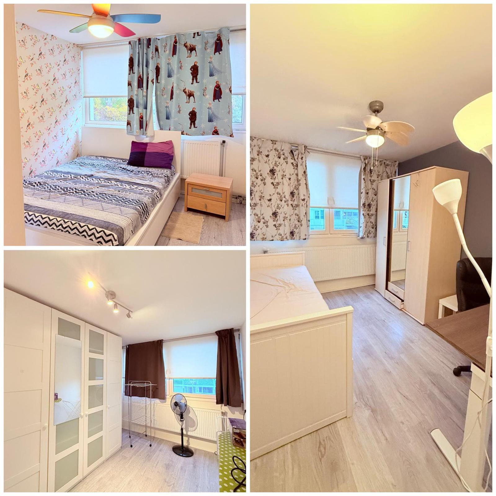 show all photos of Rode Klaver