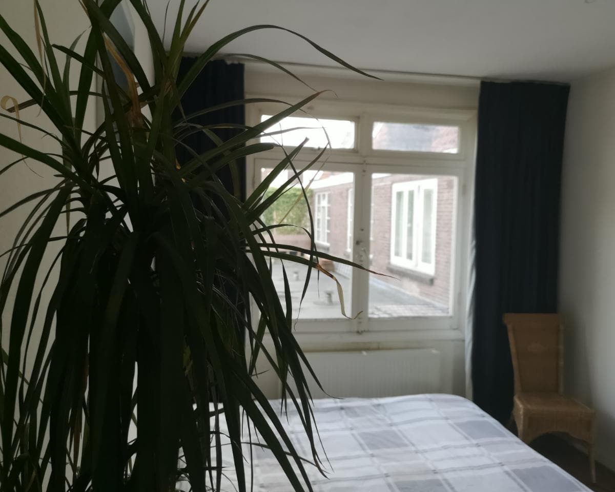 show all photos of Legmeerplein