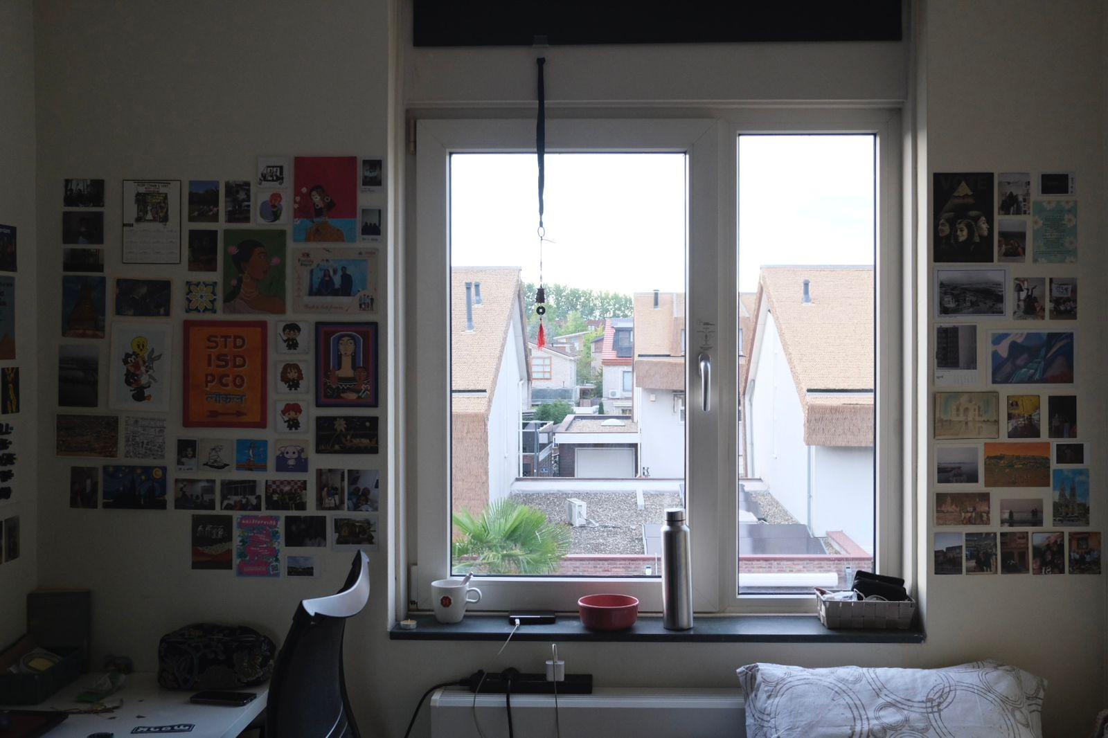 show all photos of Priamsingel