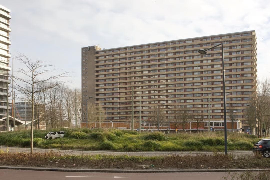 show all photos of Hendrik Tollensstraat