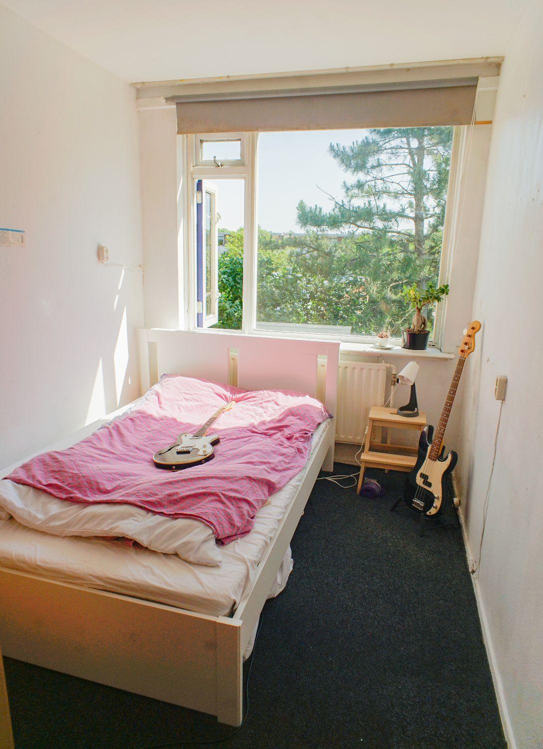 show all photos of Vondellaan