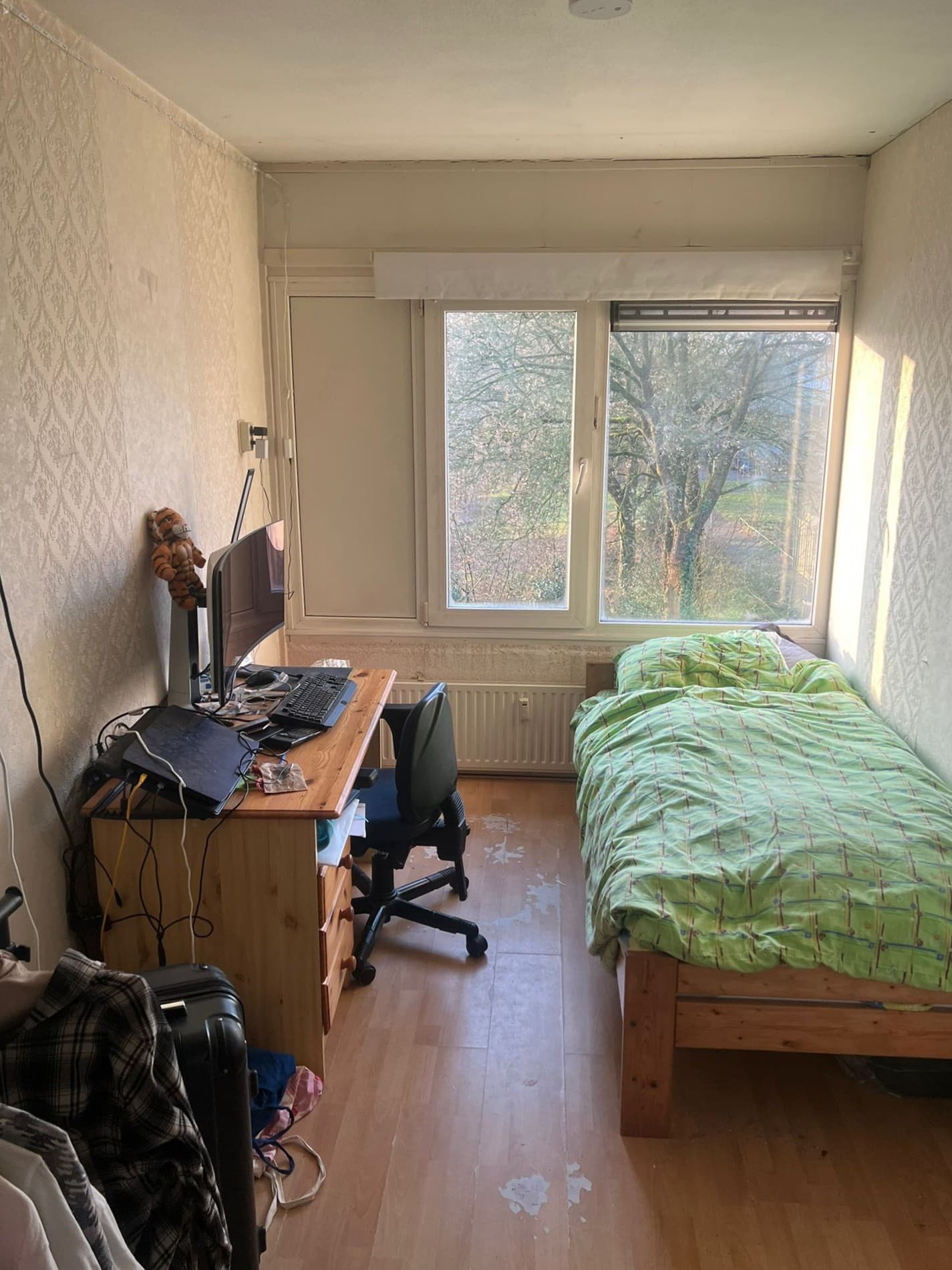 show all photos of Haarlebrink