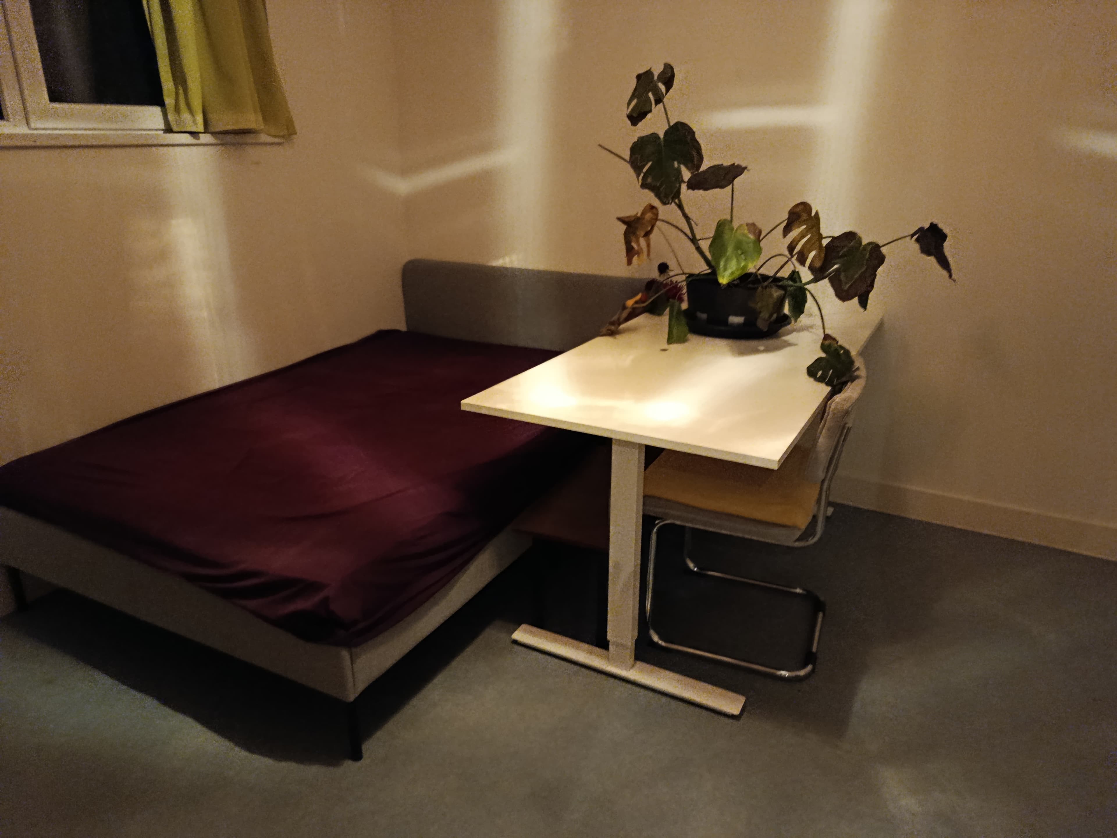 show all photos of Moestuinlaan