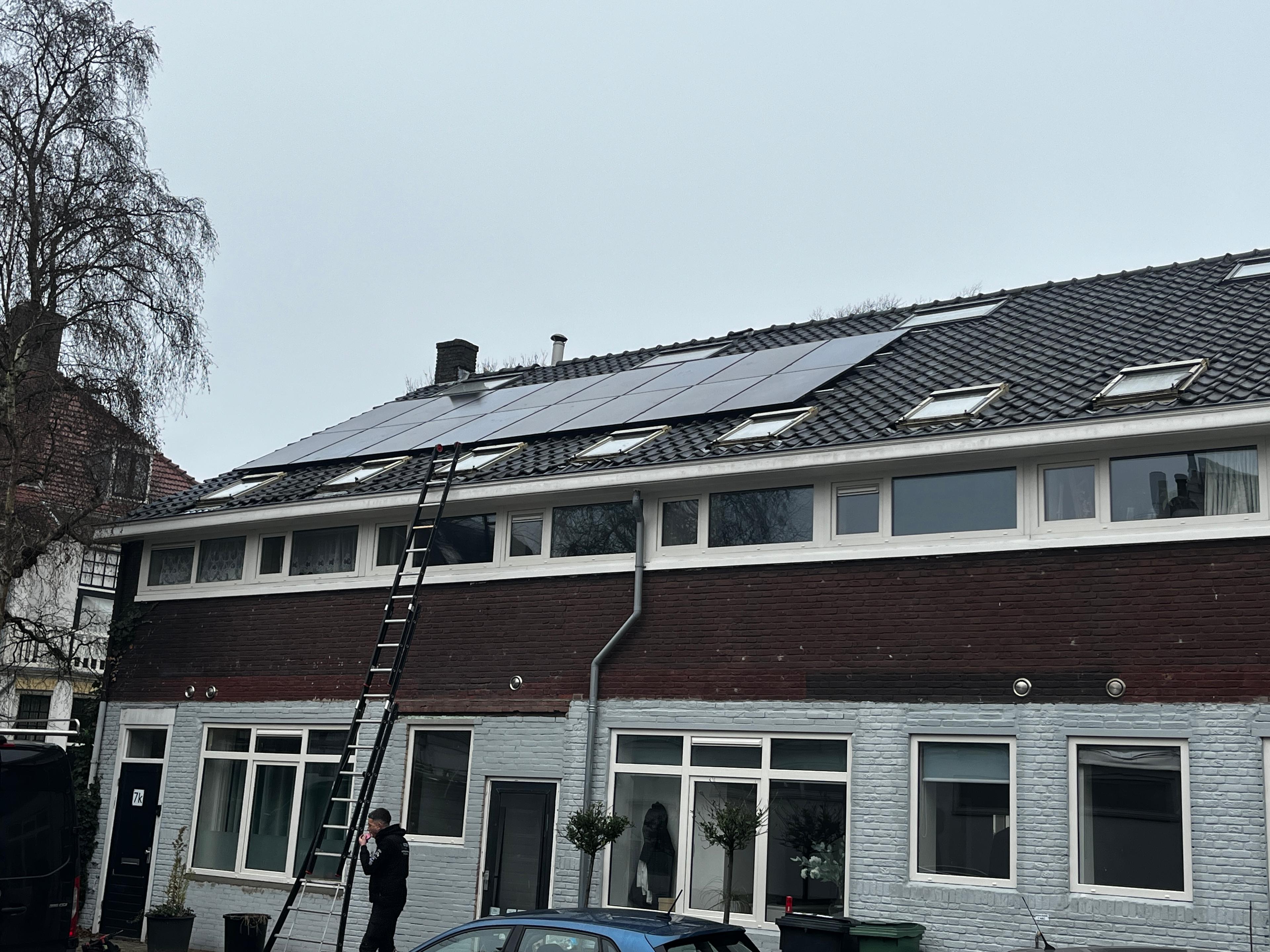 show all photos of Wilhelminapark