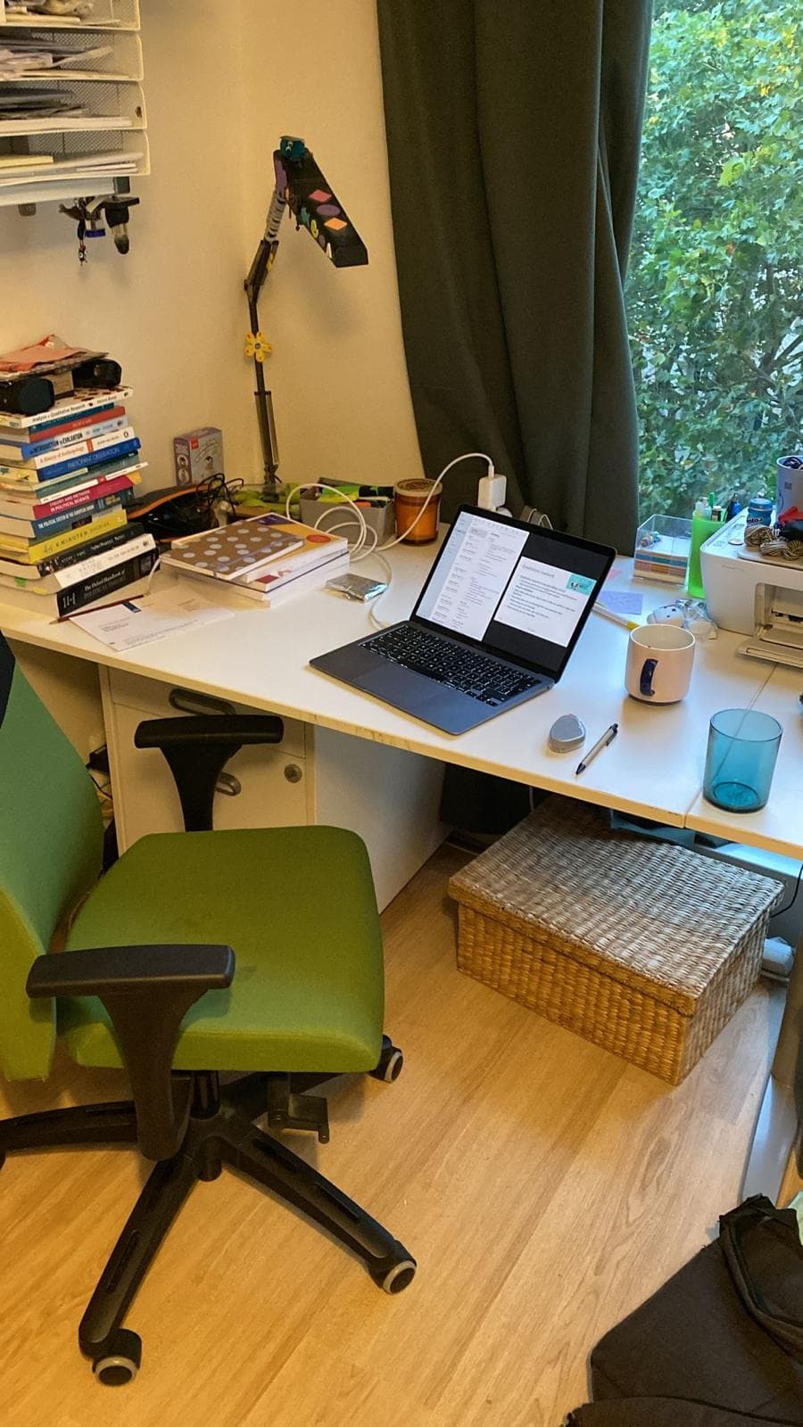 show all photos of Gerbrandypad