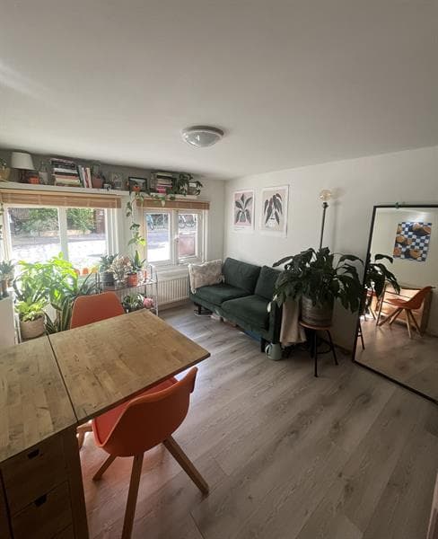 show all photos of Tulpstraat